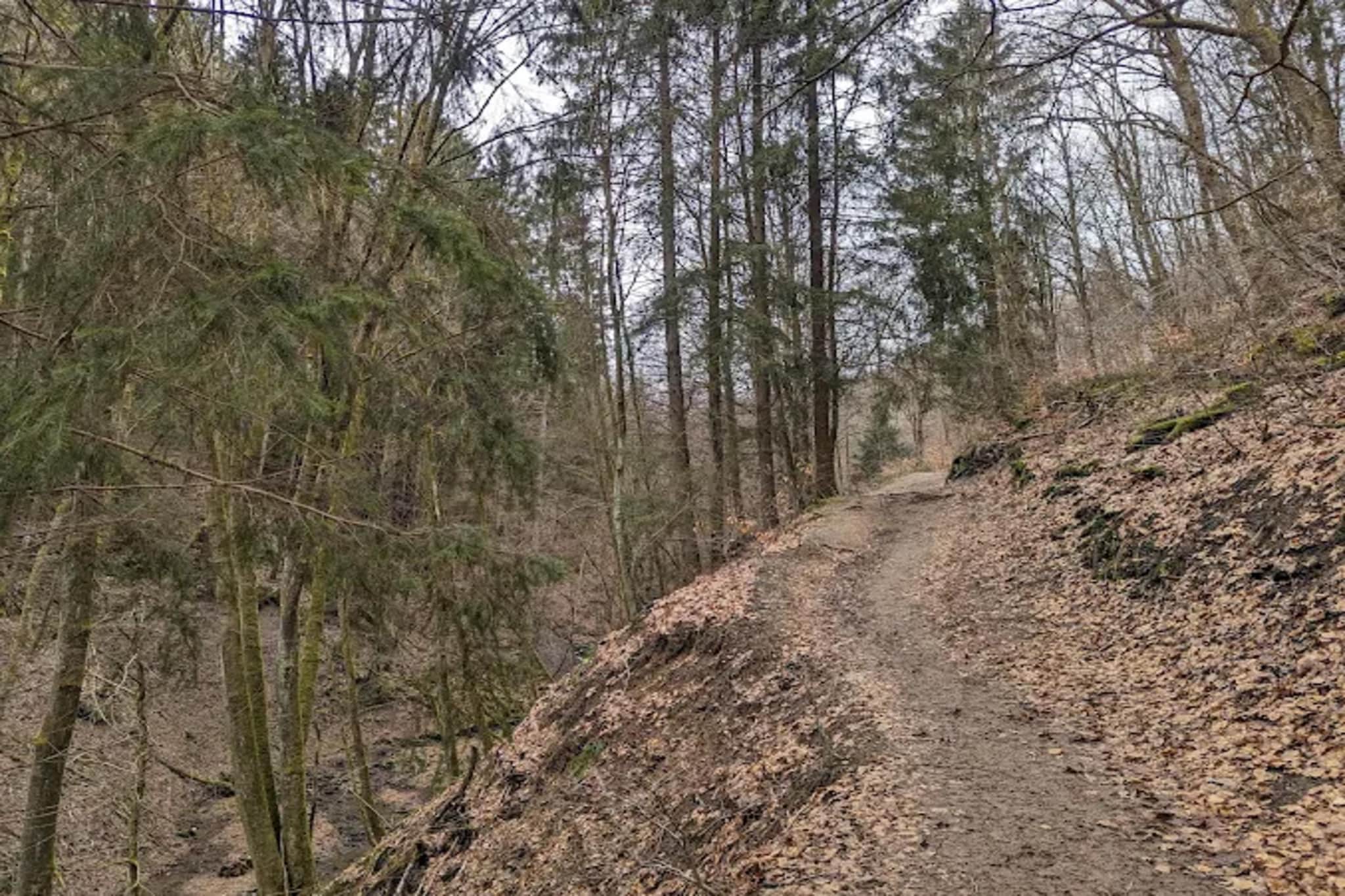 Auszeit Winterberg-Gebieden zomer 5km