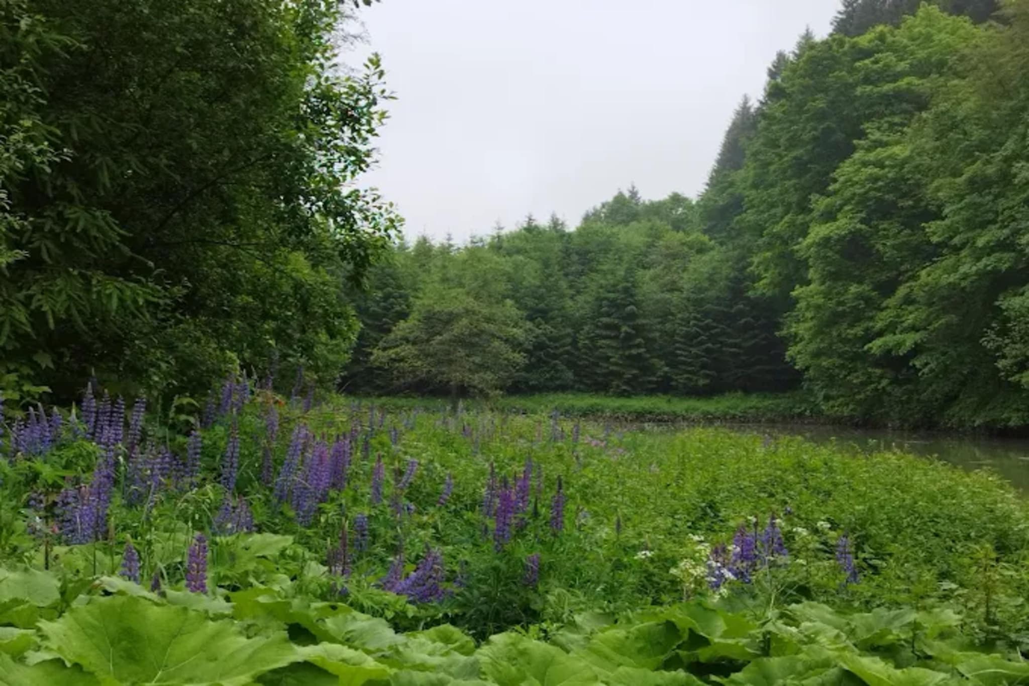 Auszeit Winterberg-Gebieden zomer 5km