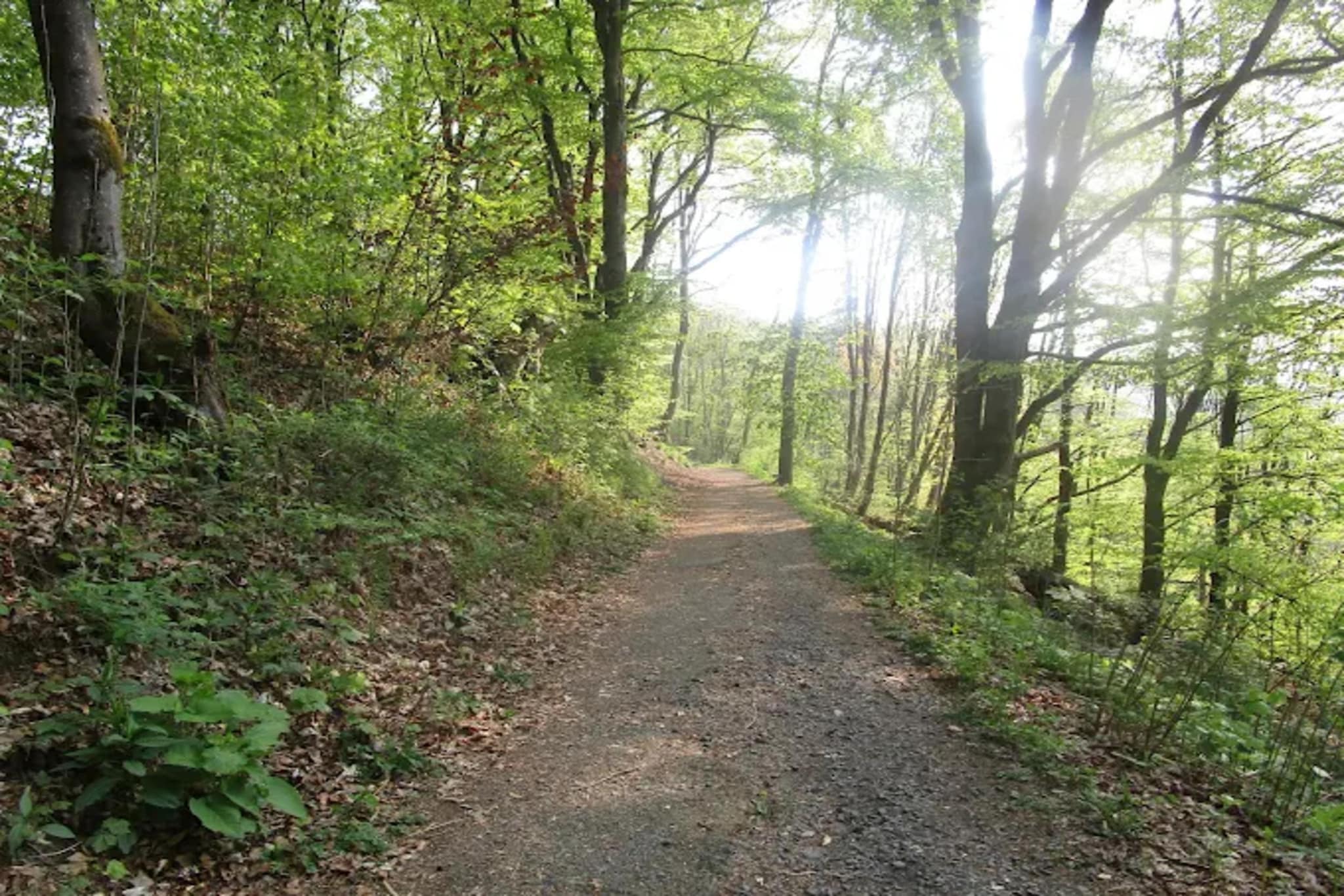 Auszeit Winterberg