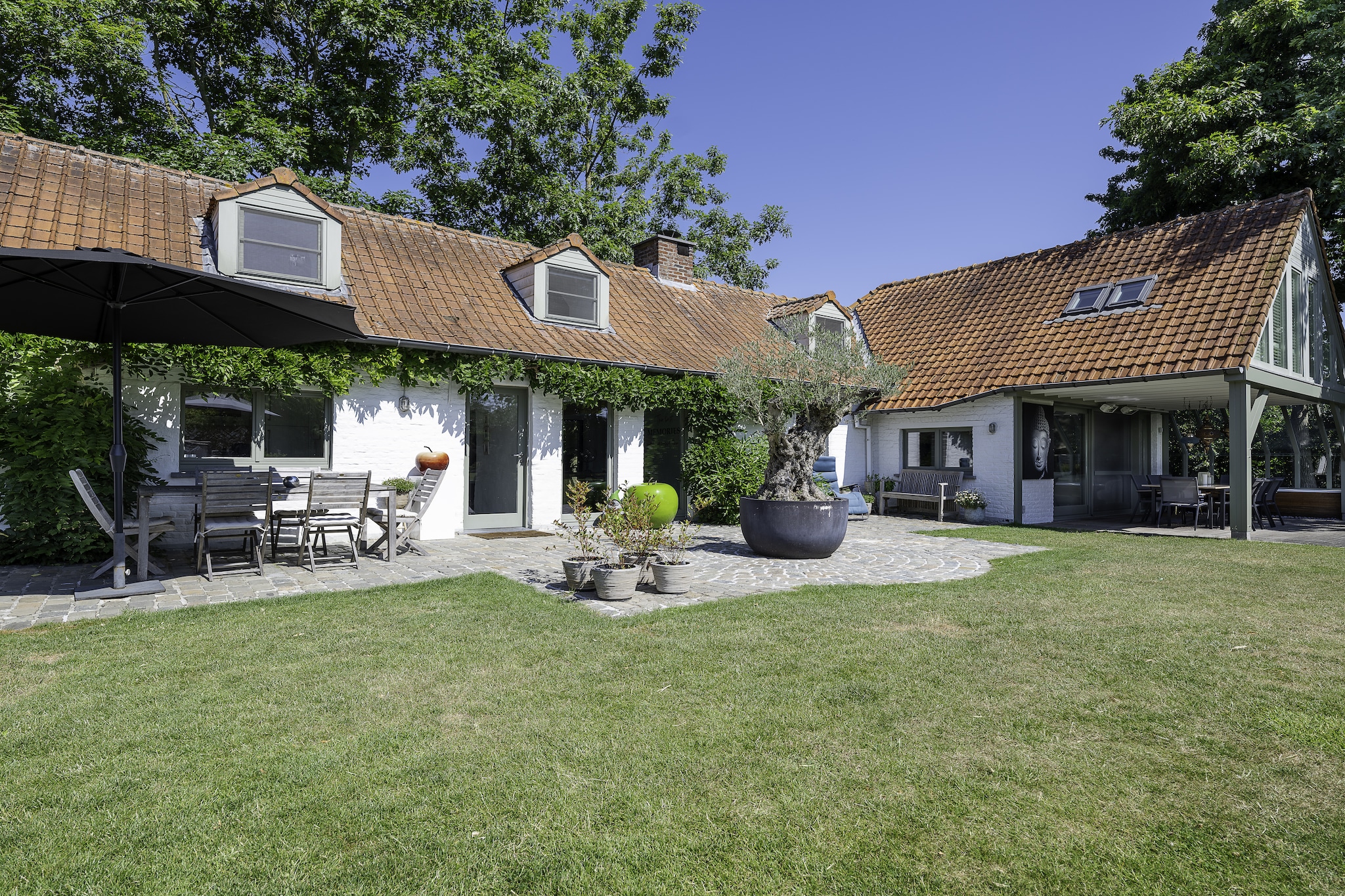 Casa Olivos