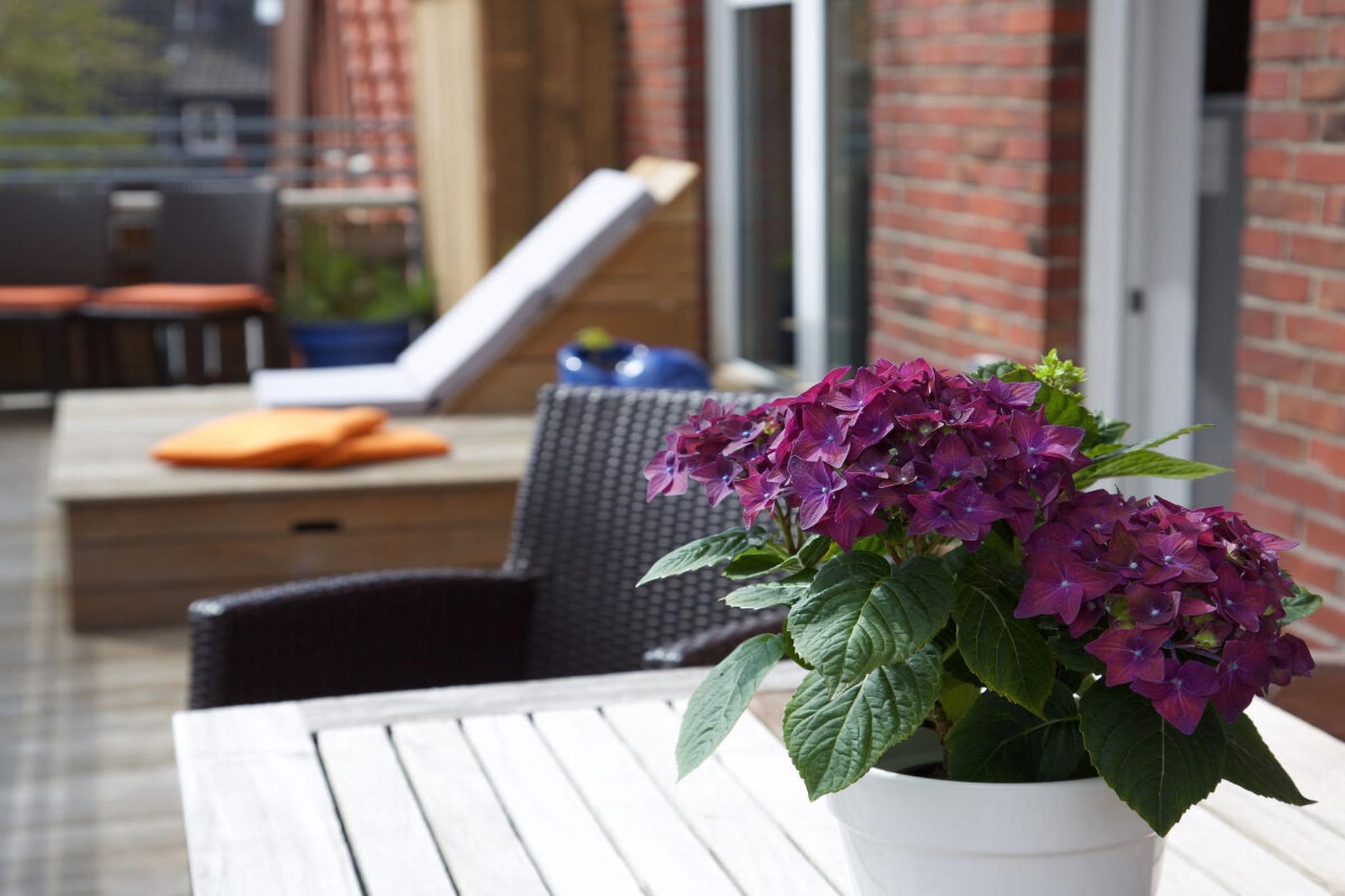 Terrace Balcony
