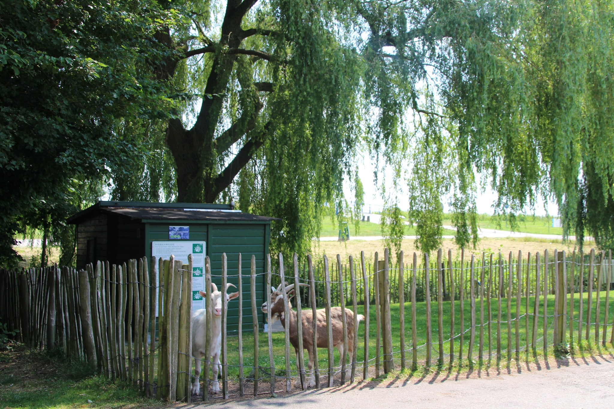 6 pers Welness huis 83 - Park facilities