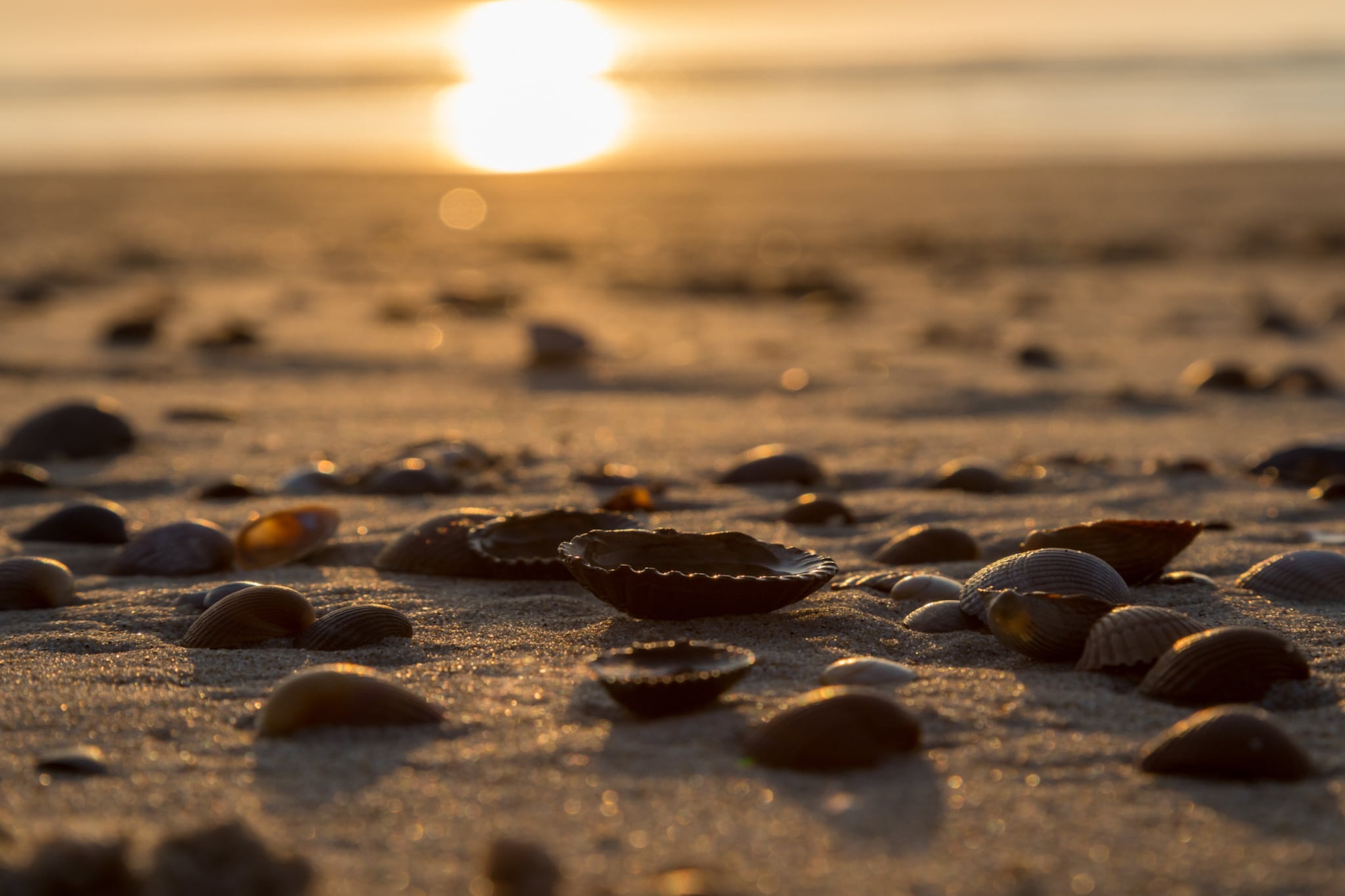 Strand Dishoek 345/346-Ambiente