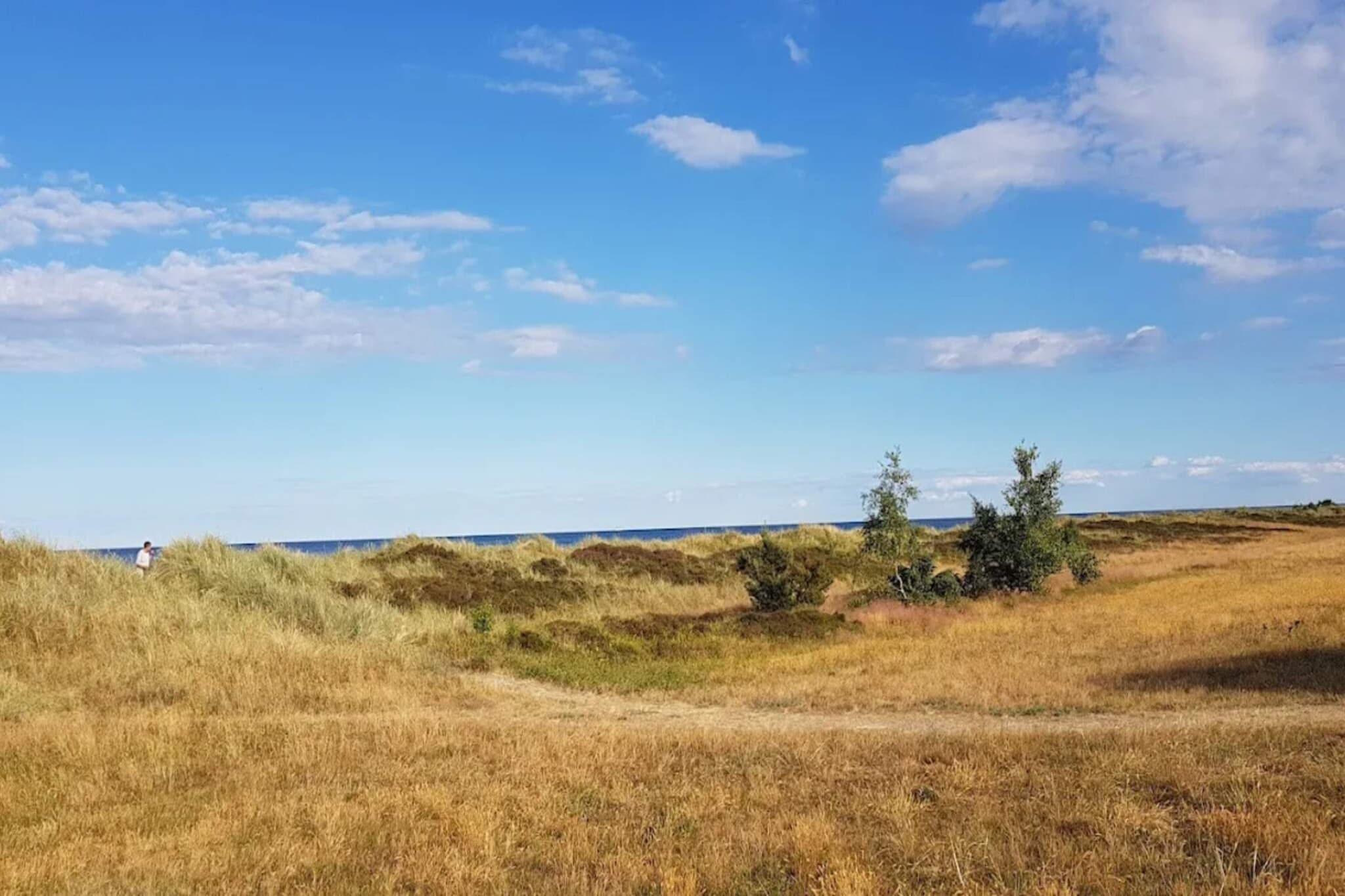 4 Sterne Ferienhaus in Væggerløse-By Traum