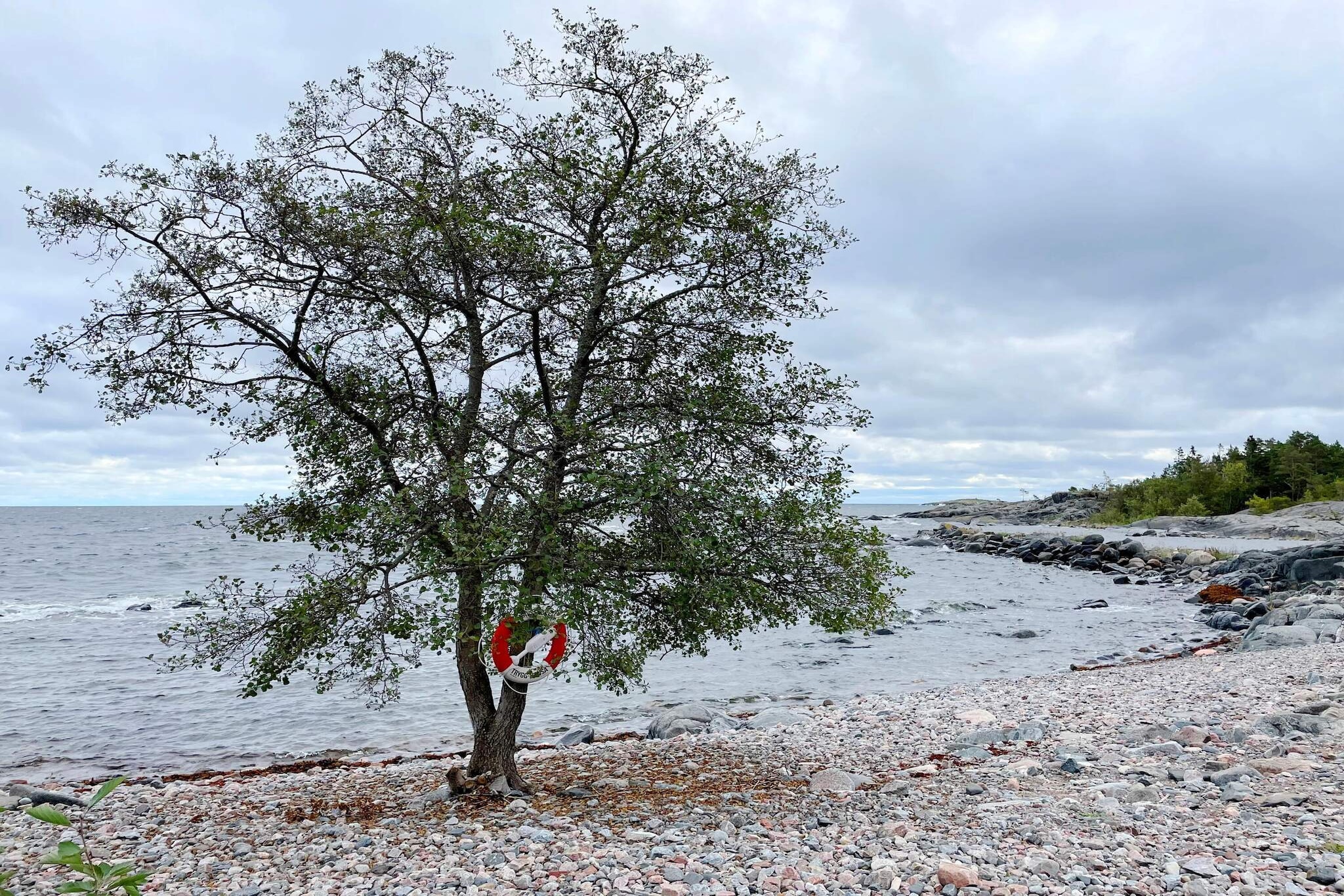 7 persoons vakantie huis in GRISSLEHAMN-By Traum - Niet-getagd