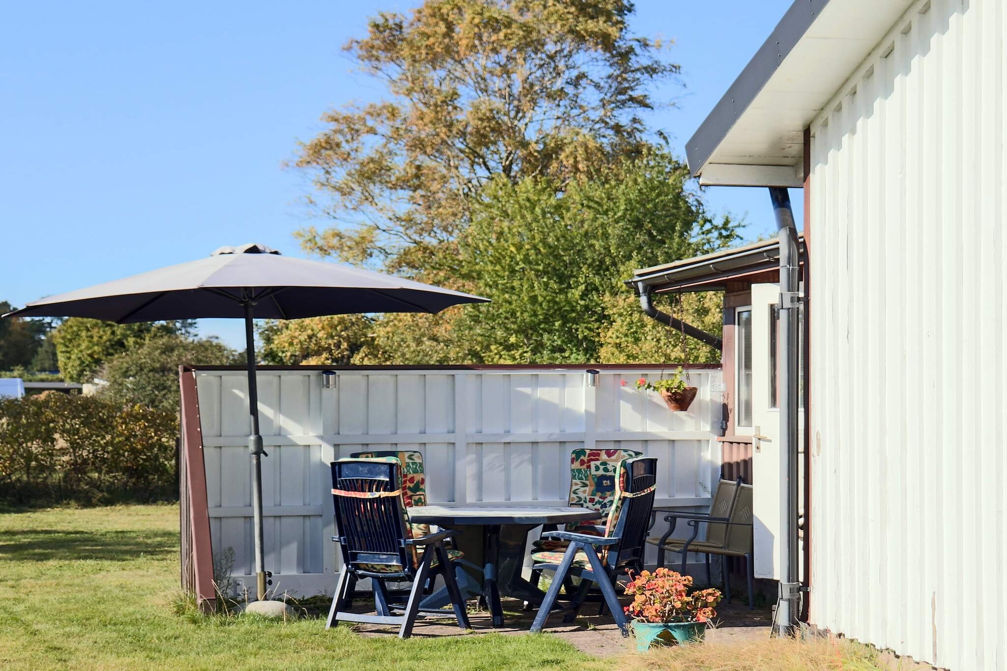 Welcoming cottage near the sea