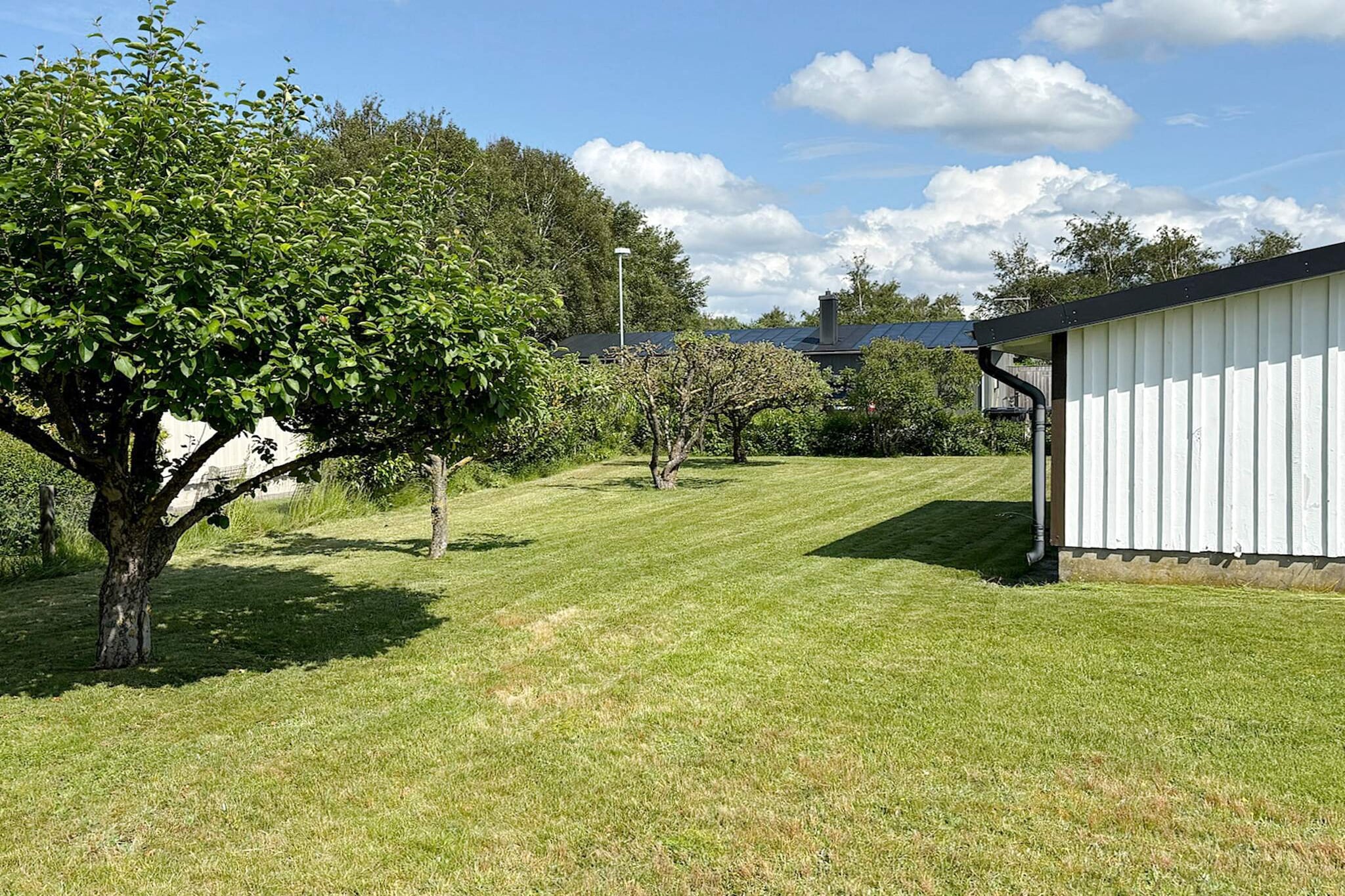 Welcoming cottage near the sea