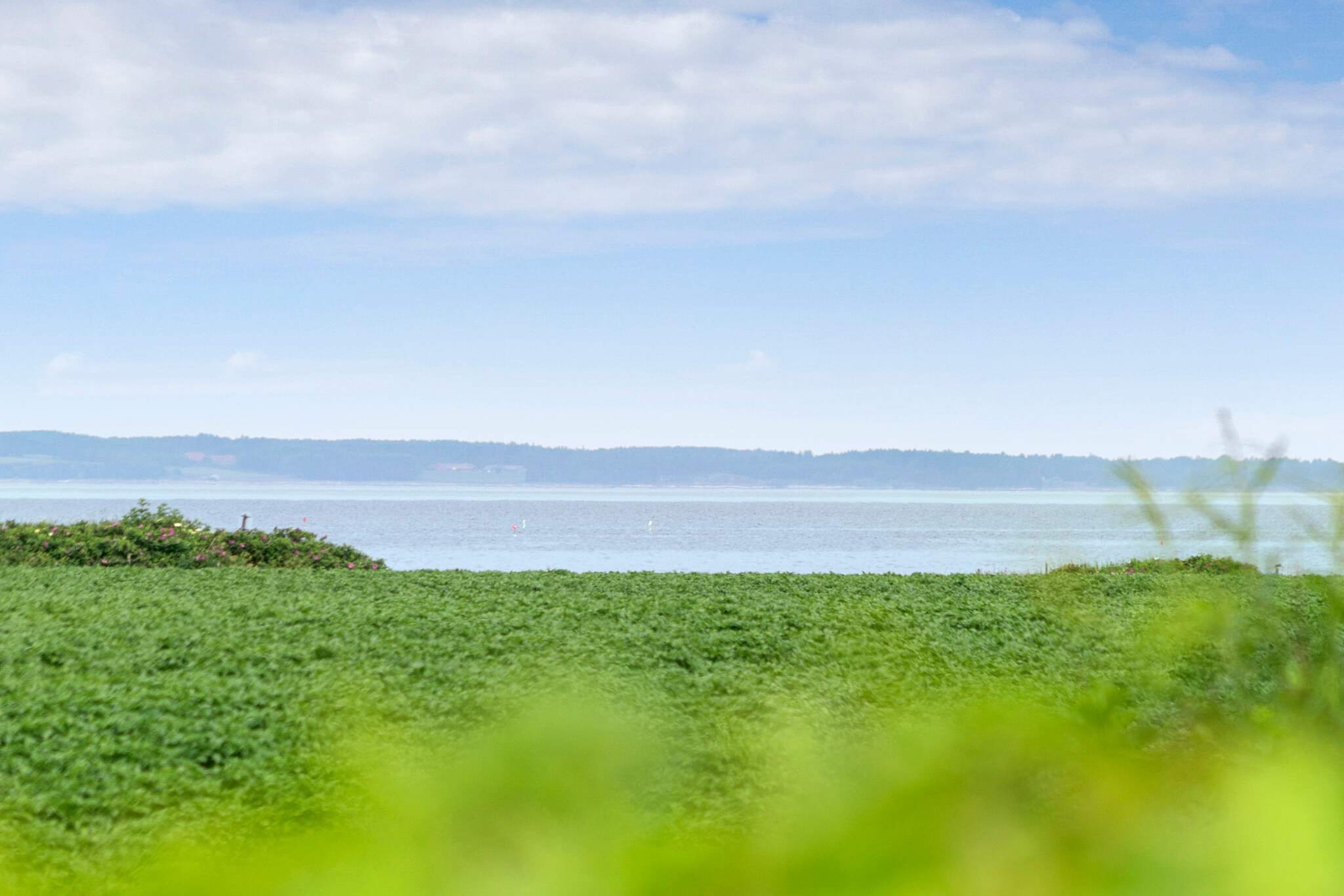 5 sterren vakantie huis in Vinderup-By Traum
