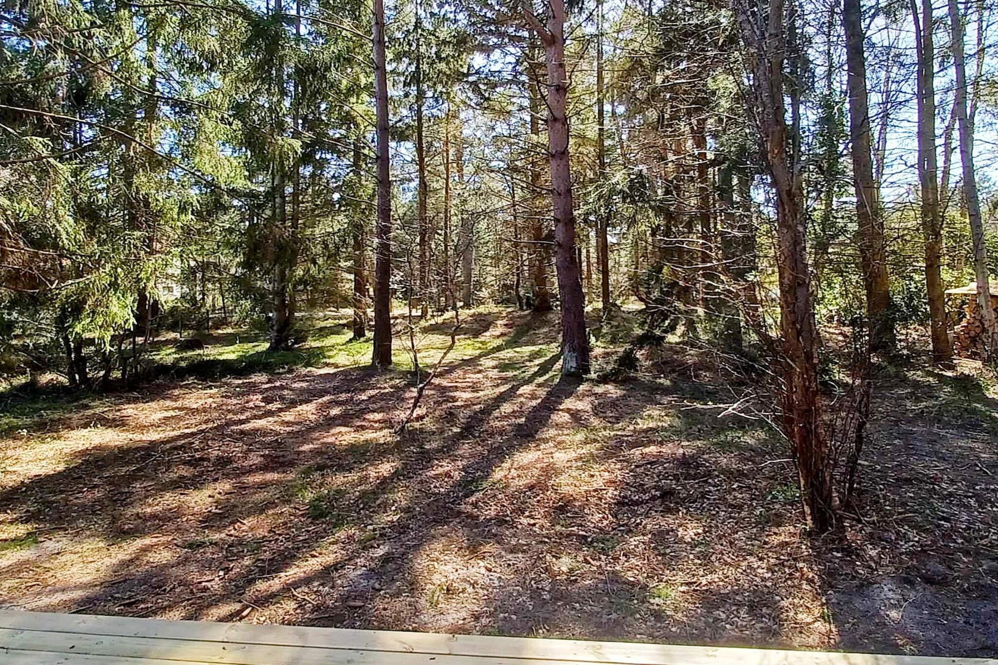 4 sterren vakantie huis in Höllviken