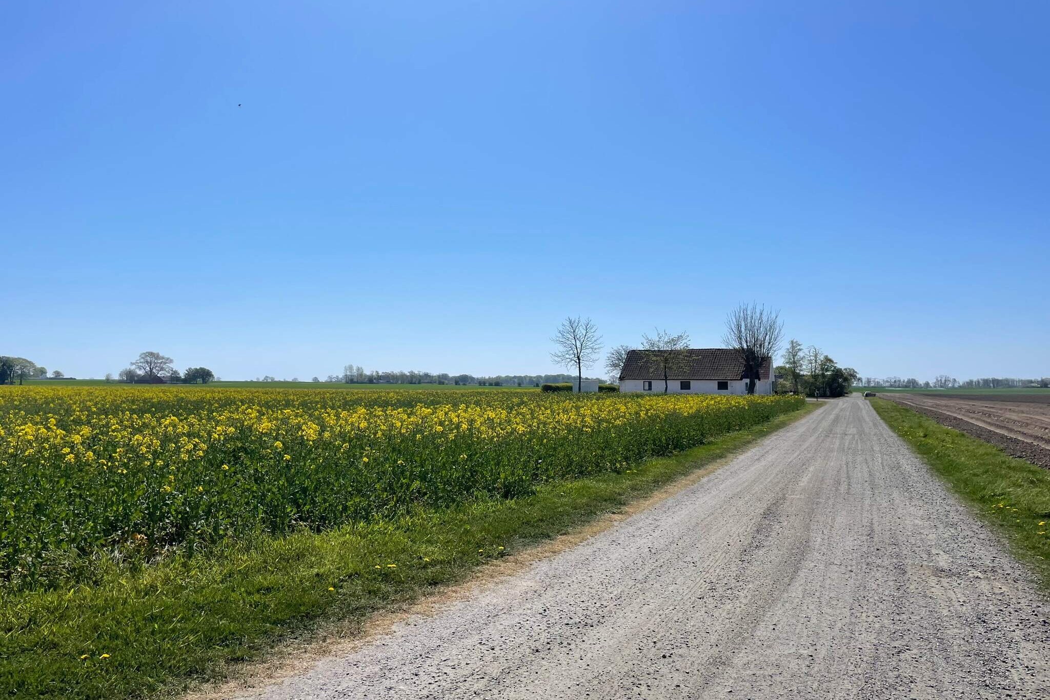 4 sterren vakantie huis in Höllviken - Buitenlucht