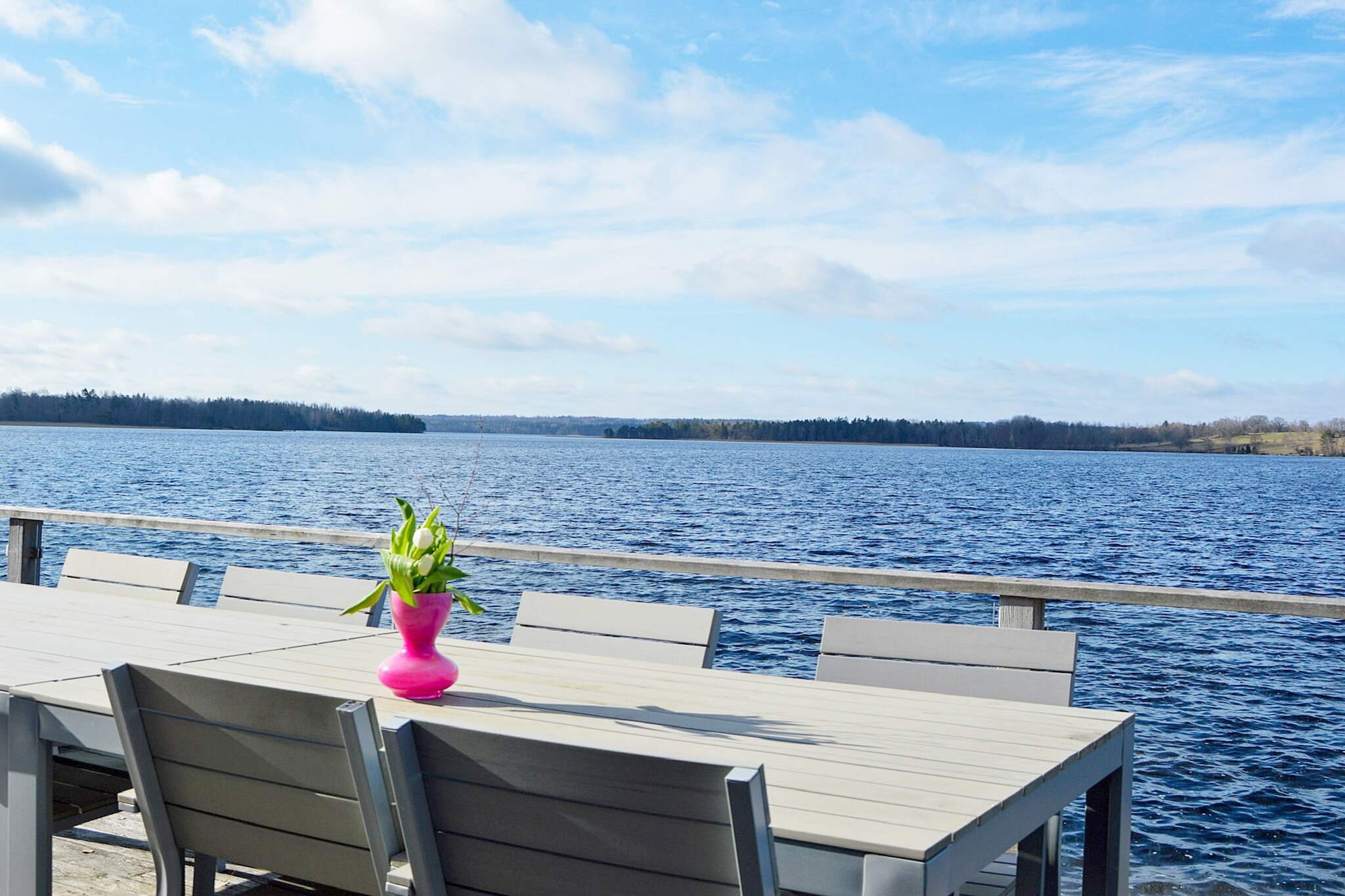 8 persoons vakantie huis in HJÄLTEVAD - Binnen