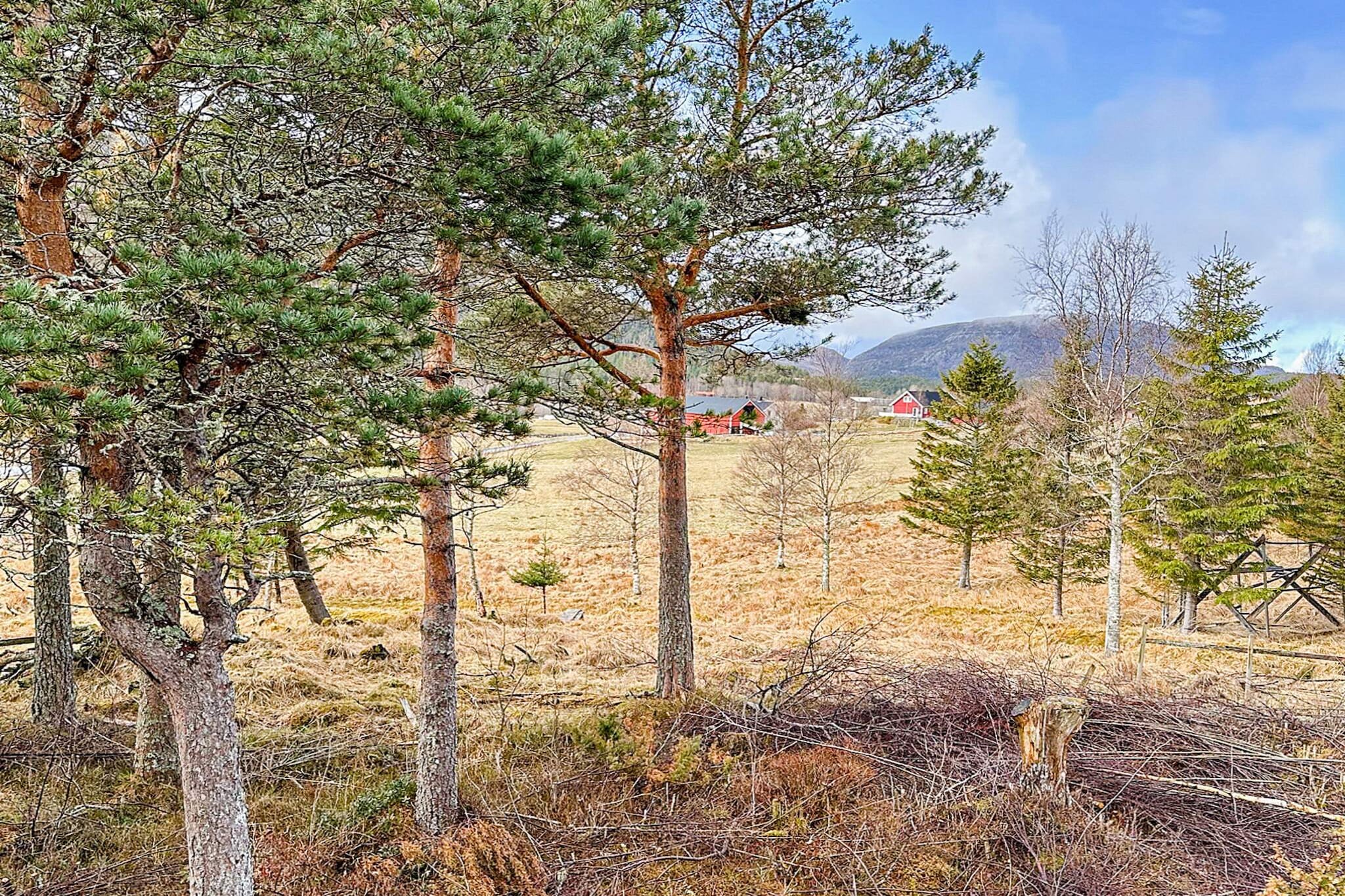 4 persoons vakantie huis in Lysøysundet