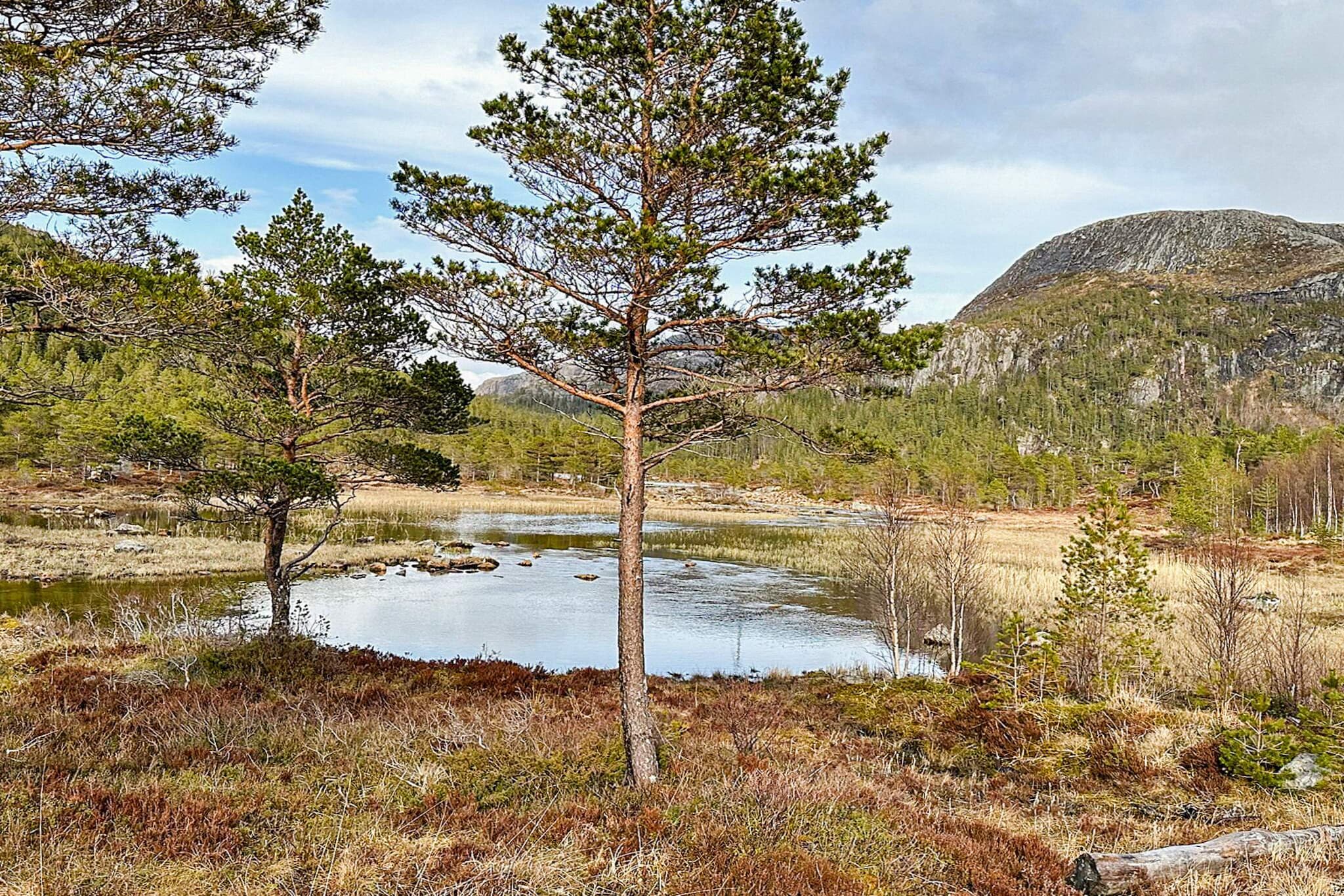 4 persoons vakantie huis in Lysøysundet - Niet-getagd