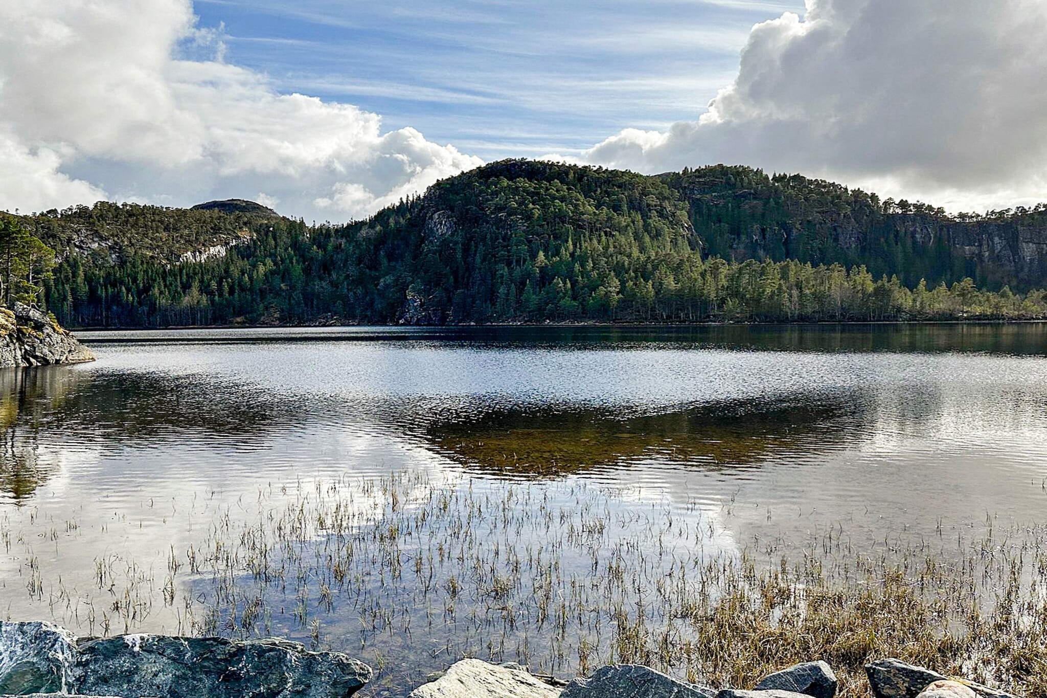 4 persoons vakantie huis in Lysøysundet - Niet-getagd
