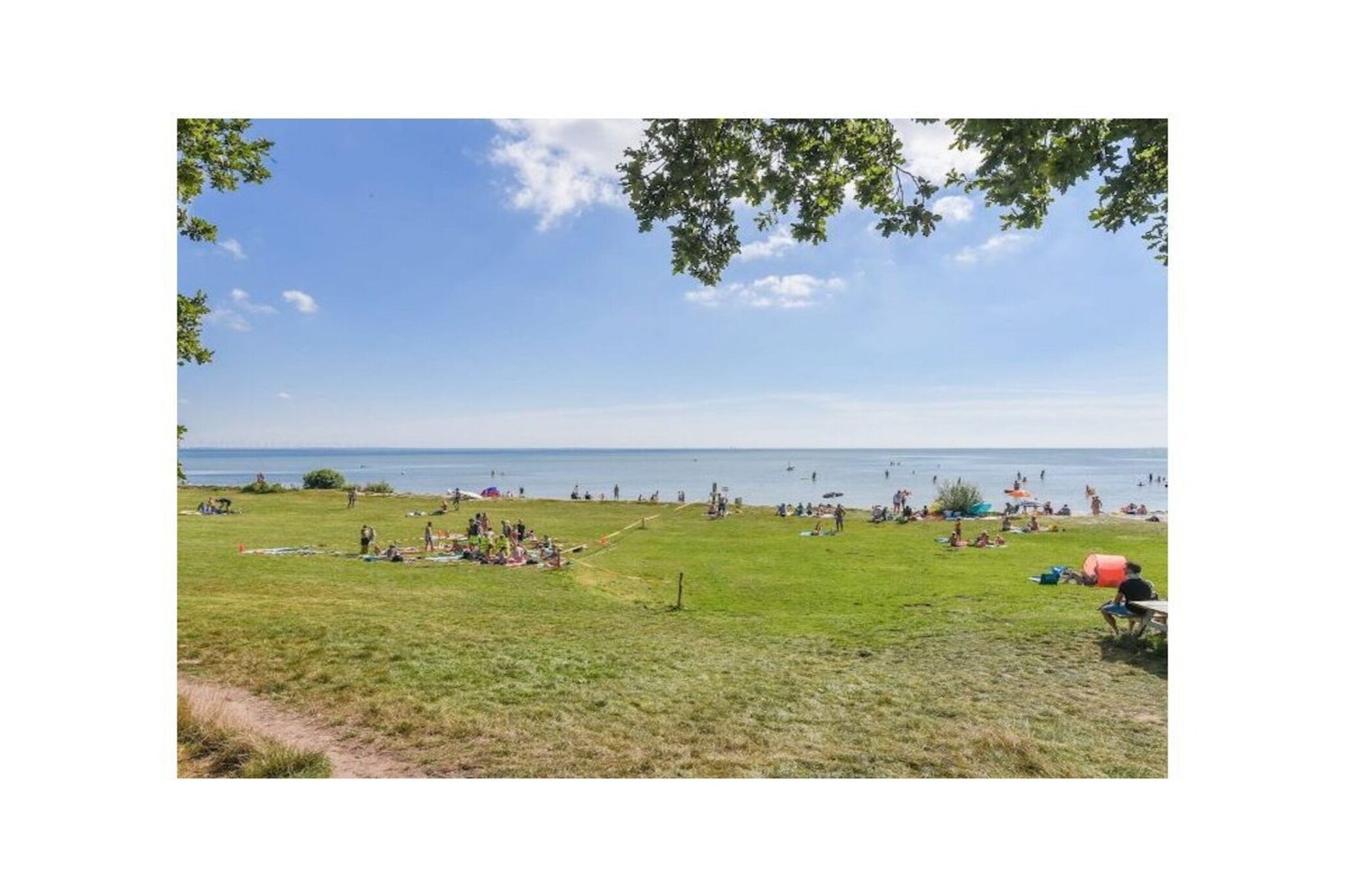 467355-Gebieden zomer 1km