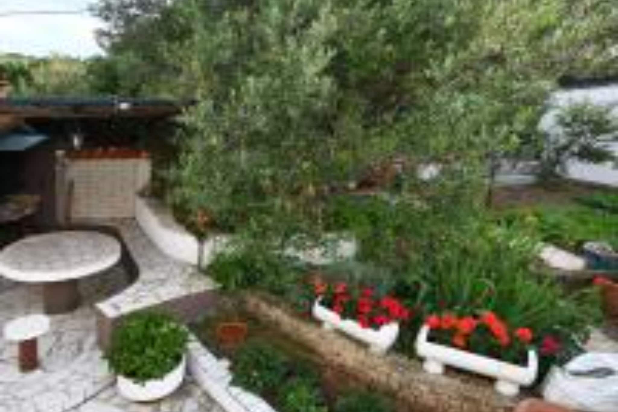 Apartments Mihovilović - 50 m from beach - Two Bedroom Apartment with Terrace and Pool View (A1)-Sfeer