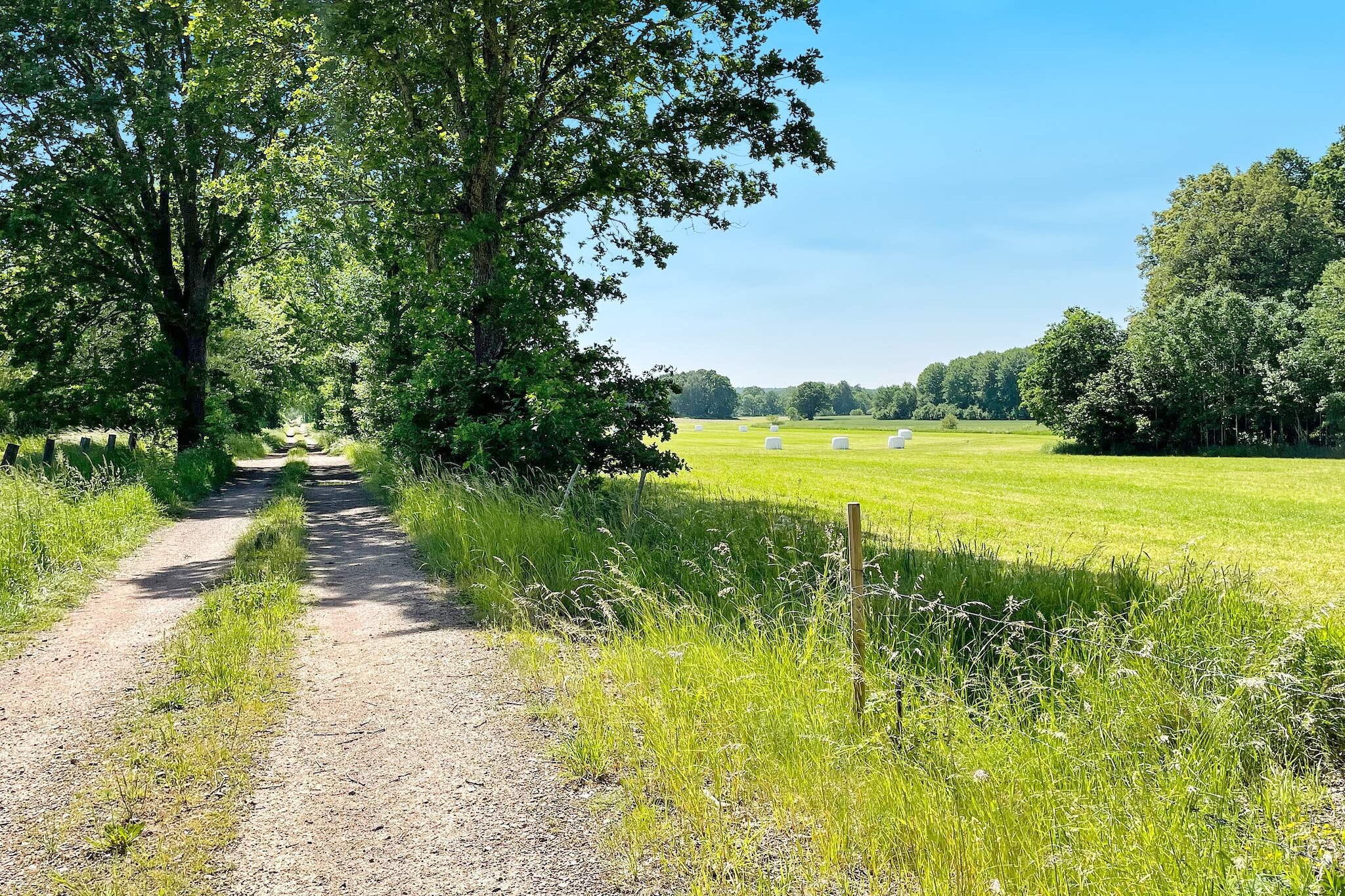 Boerderij bij meren en kust - Niet-getagd