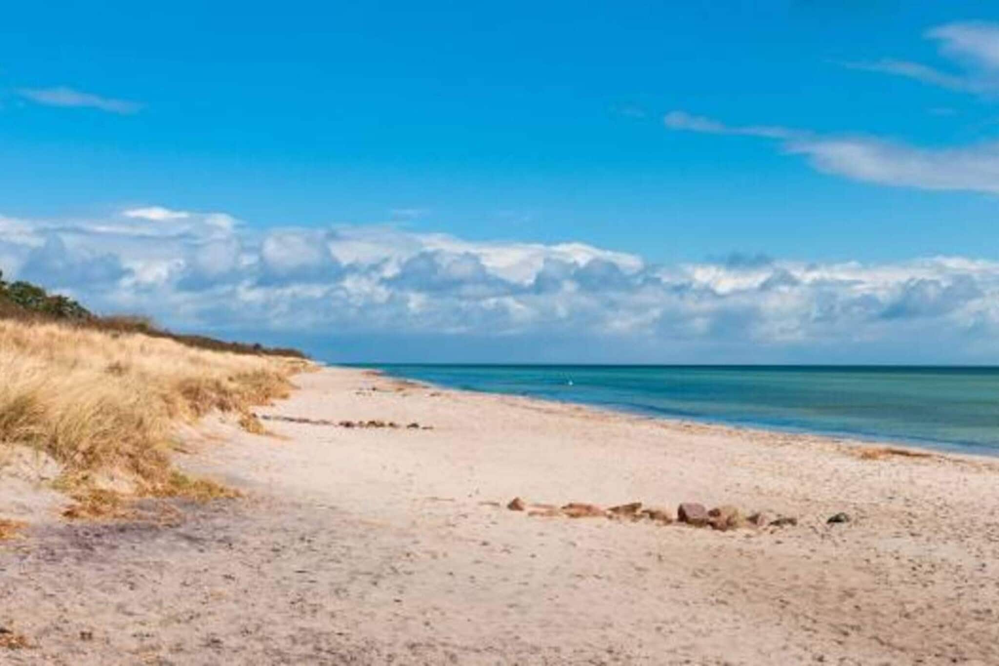 4 Sterne Ferienhaus in Væggerløse-By Traum