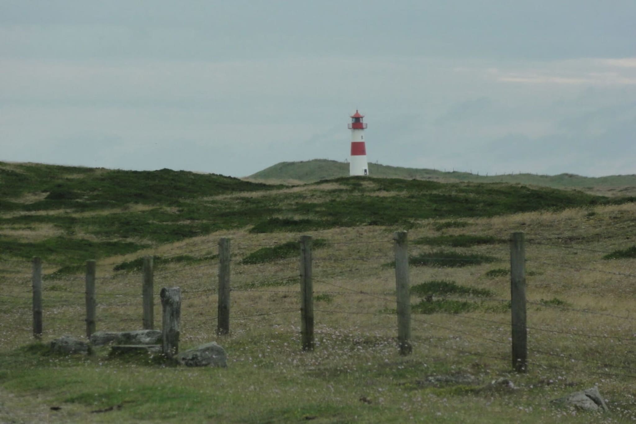 53642-Gebieden zomer 5km
