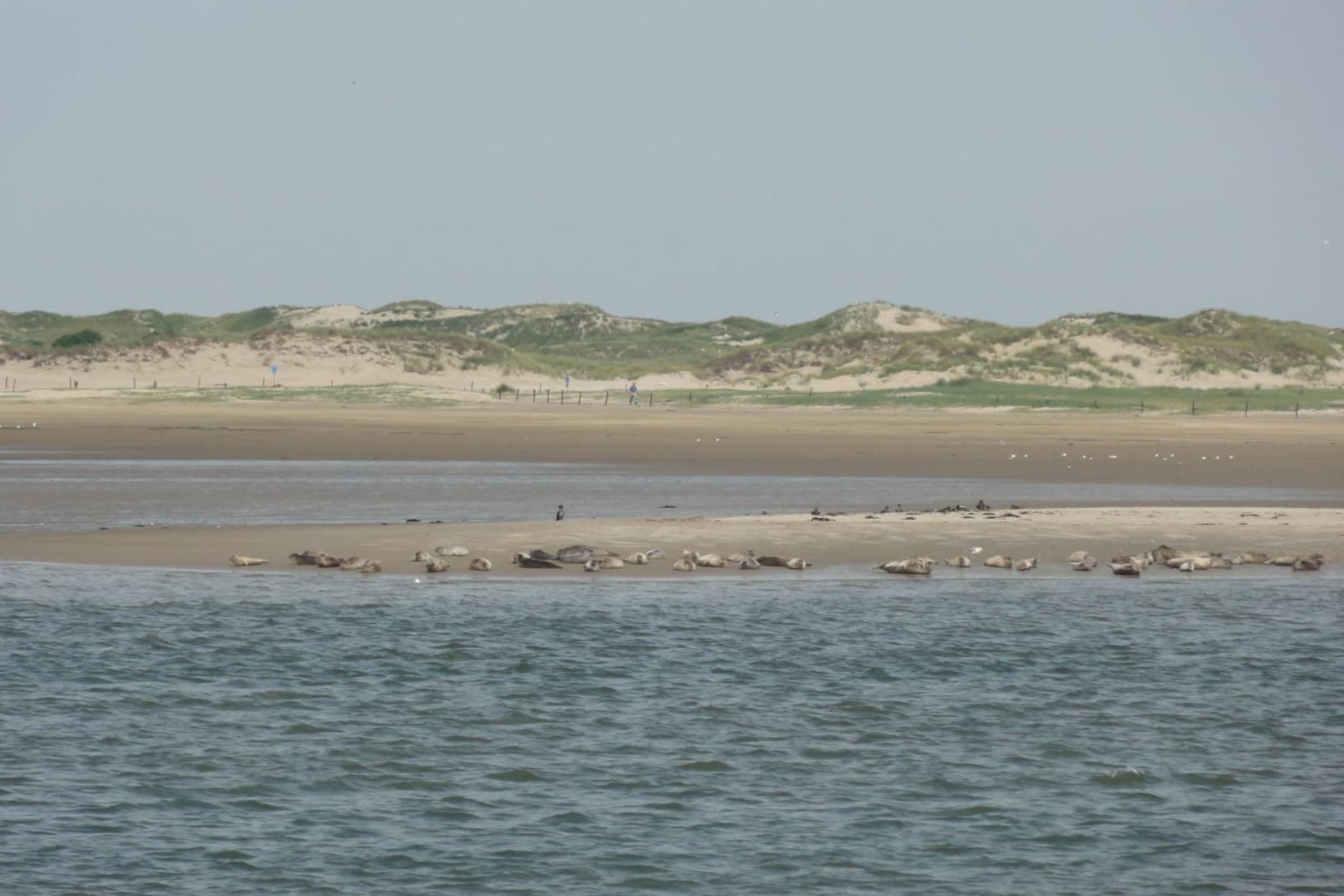 53771-Gebieden zomer 5km