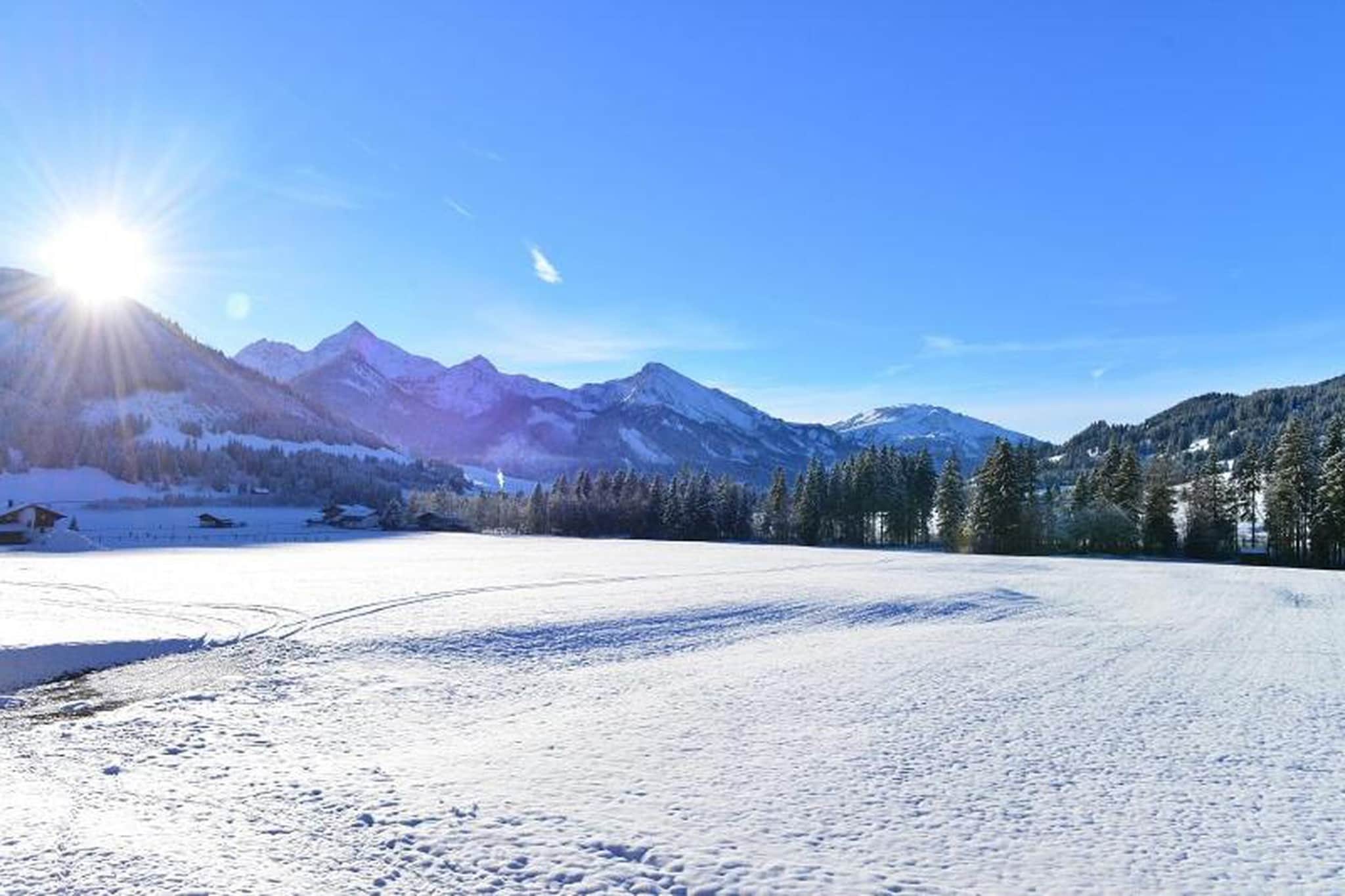 476489-Gebied winter 20km