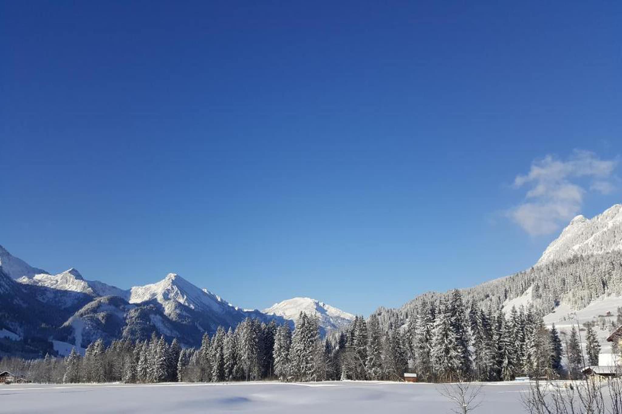 476489-Gebied winter 20km