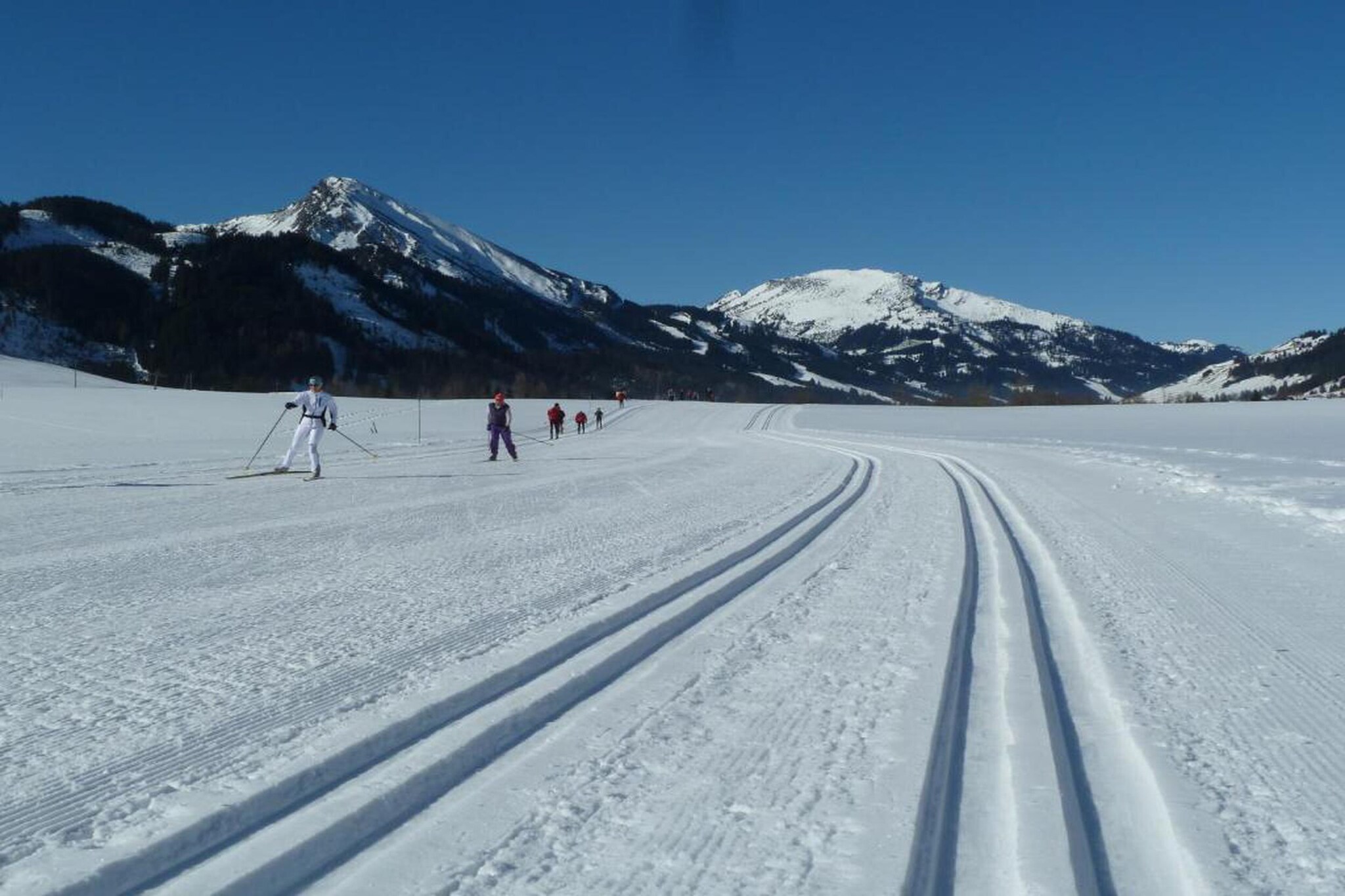 476489-Gebied winter 20km