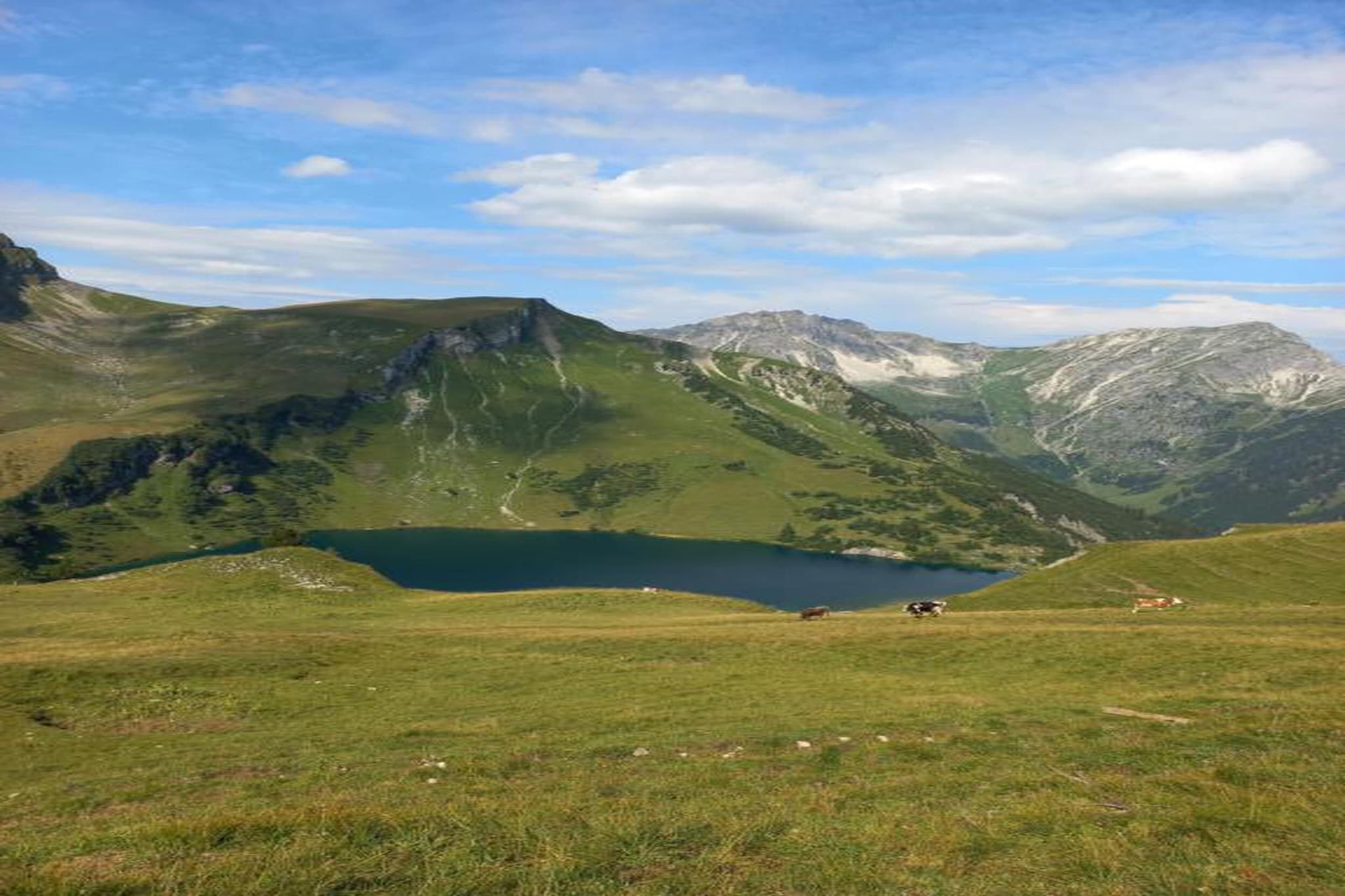 476489-Gebieden zomer 20km