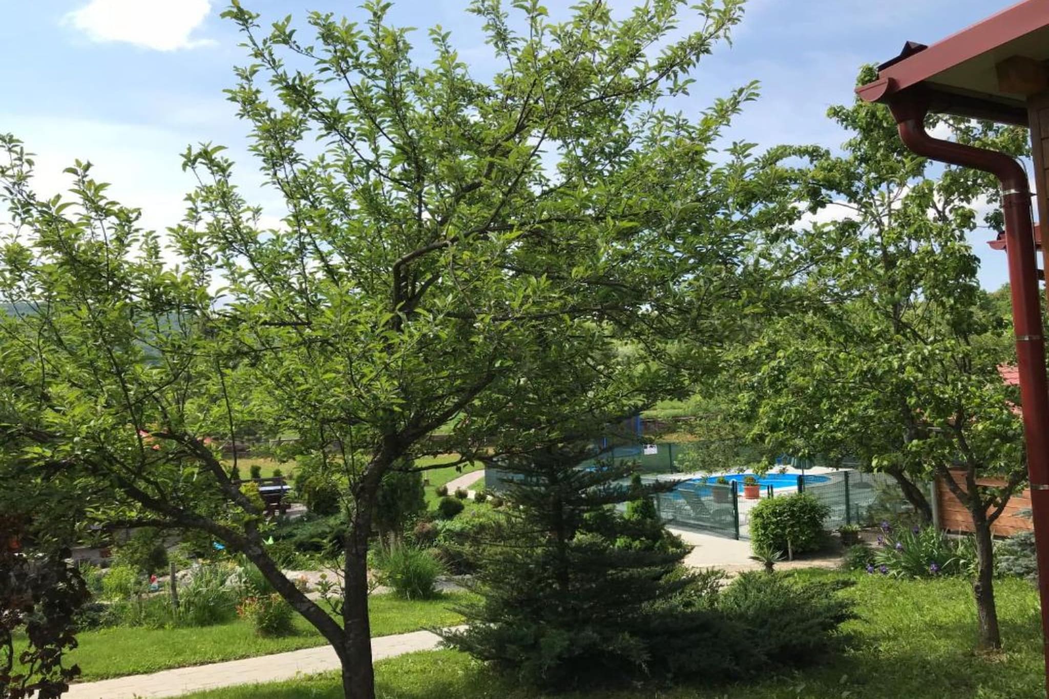 Villa Rubcic - Studio Apartment with Terrace and Poold View (4)
