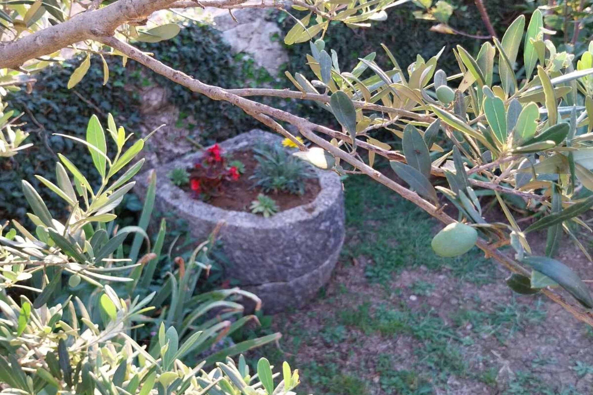 Holiday Home Gioia Cristina - One Bedroom Holiday Home with Terrace-View
