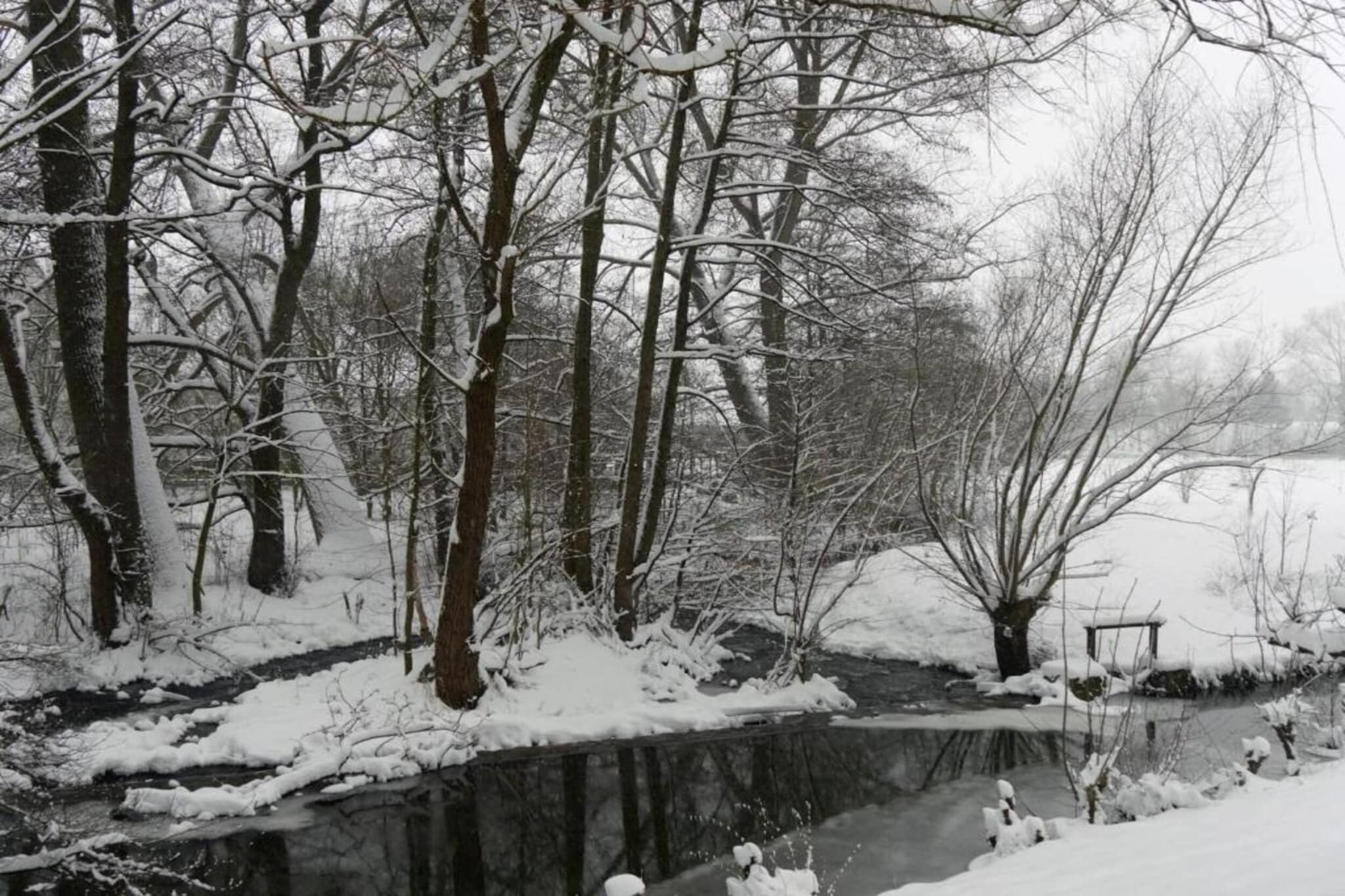 Ferienwohnung Happe-Gebied winter 20km
