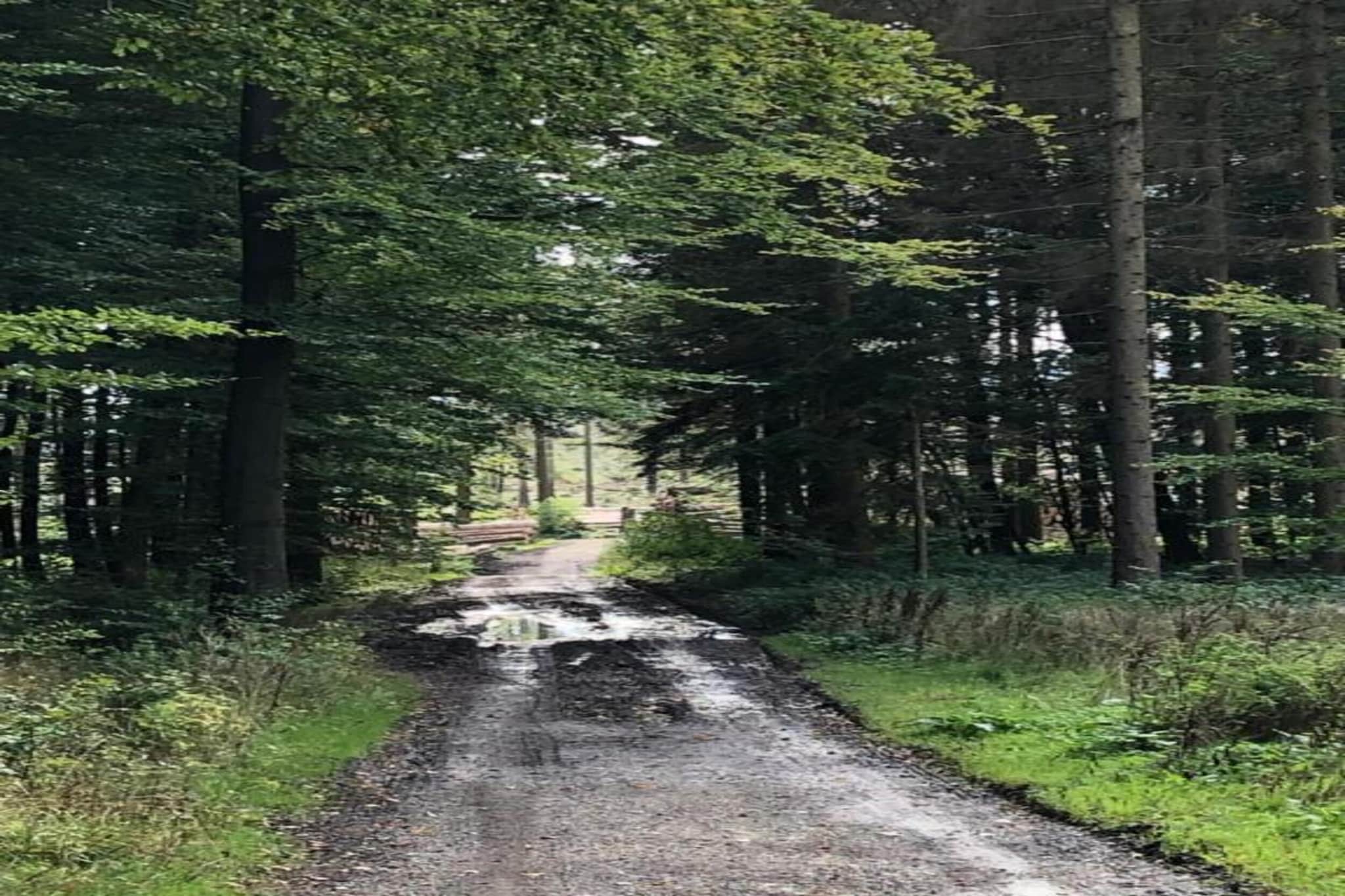 Ferienwohnung Happe-Gebieden zomer 5km