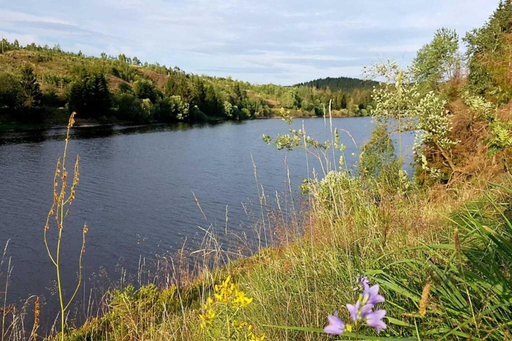 Ferienwohnung Elbingerode am Brocken-Gebiete Sommer 20 km
