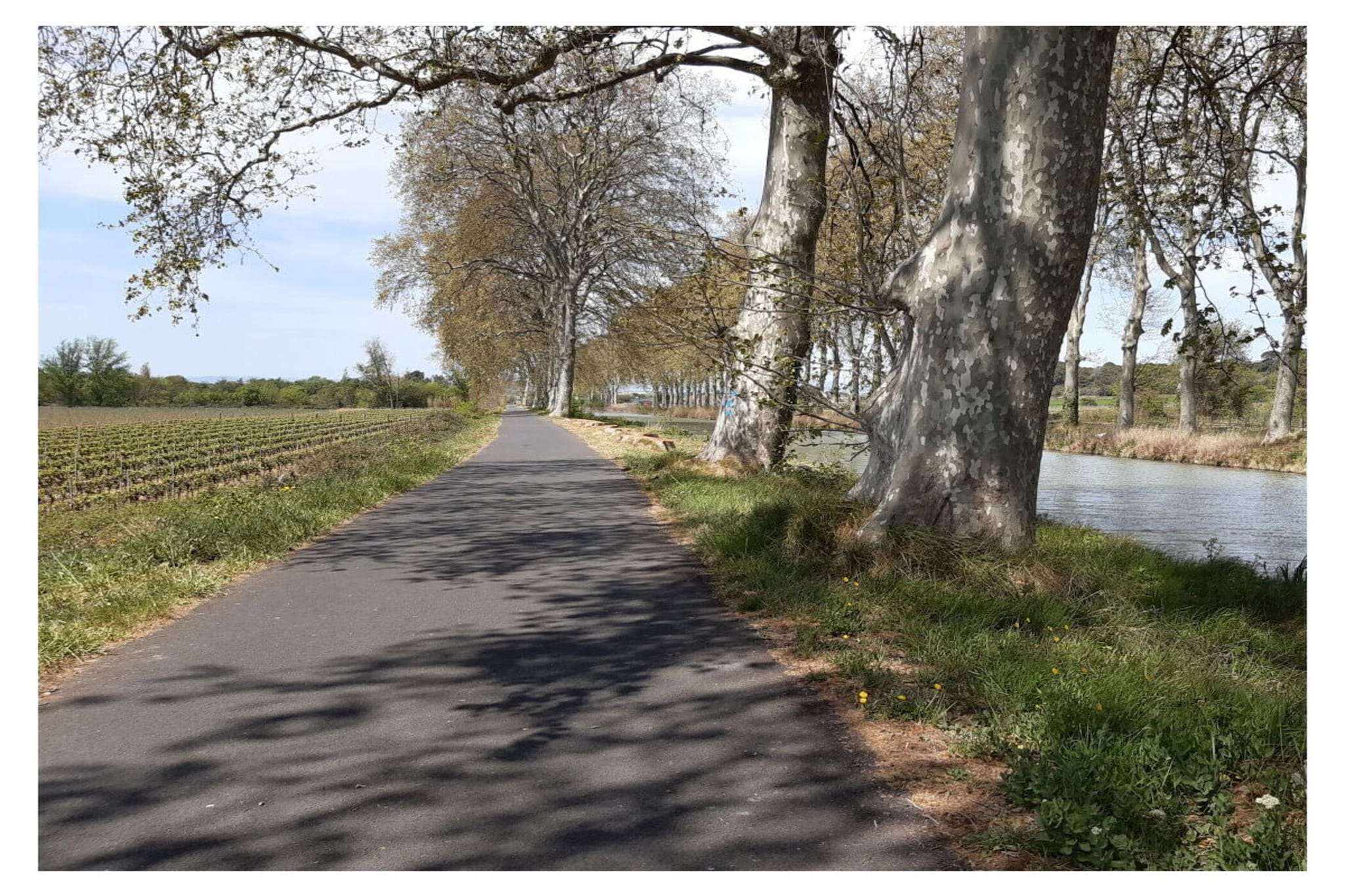 270898-Zones d'été à 5 km