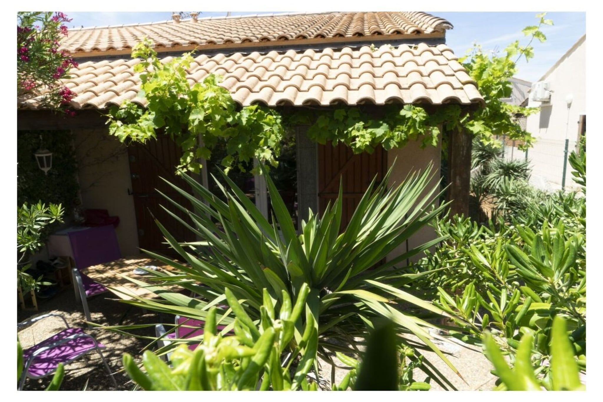 270898-Jardin d'été