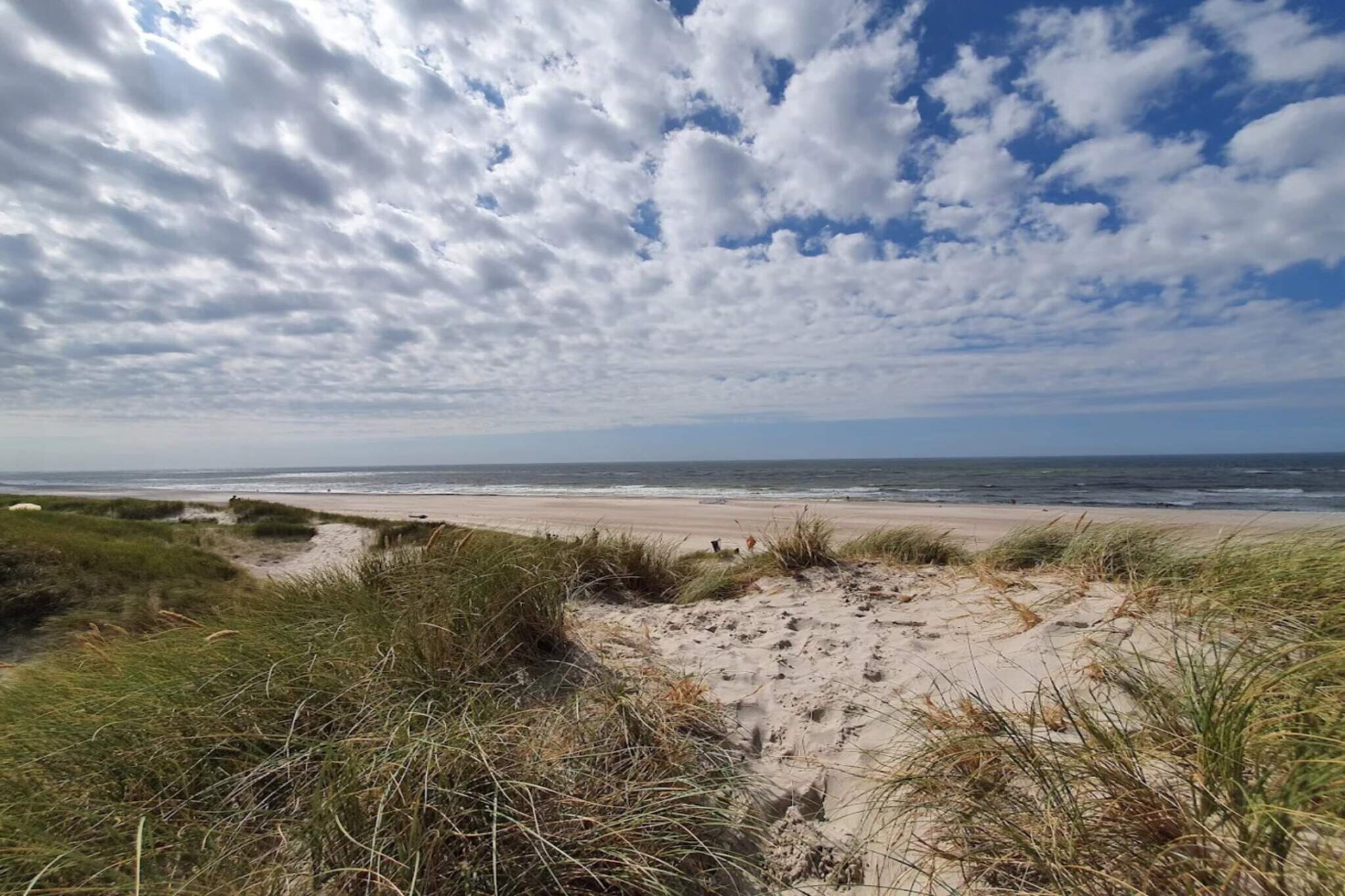 Maison de vacances pour 6 a Hadsund-By Traum - Vue sur l'eau