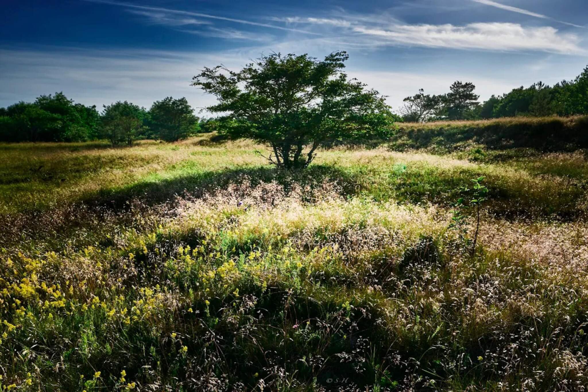 4 etoiles maison de vacances a Hals-By Traum-Non étiqueté