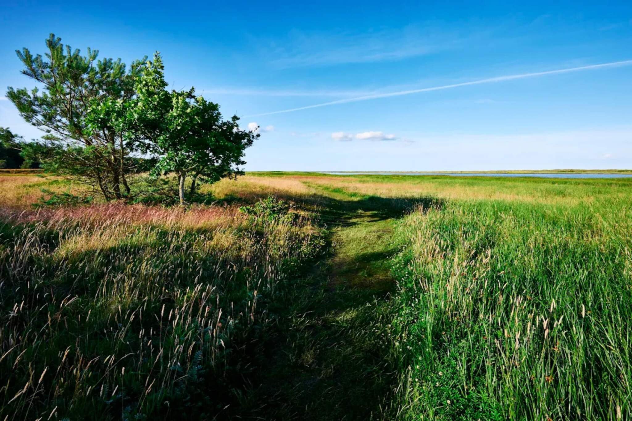 4 sterren vakantie huis in Hals-By Traum