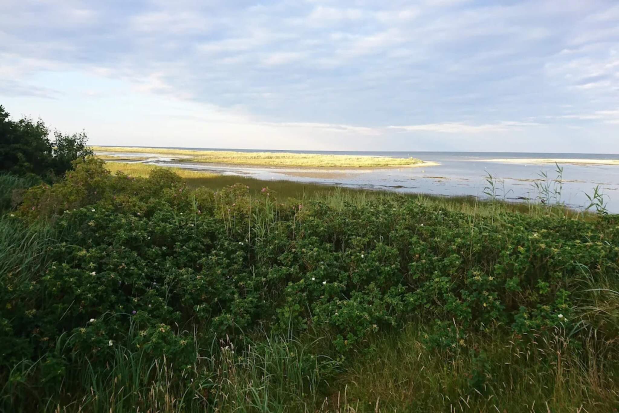 4 etoiles maison de vacances a Hals-By Traum-Vue sur l'eau