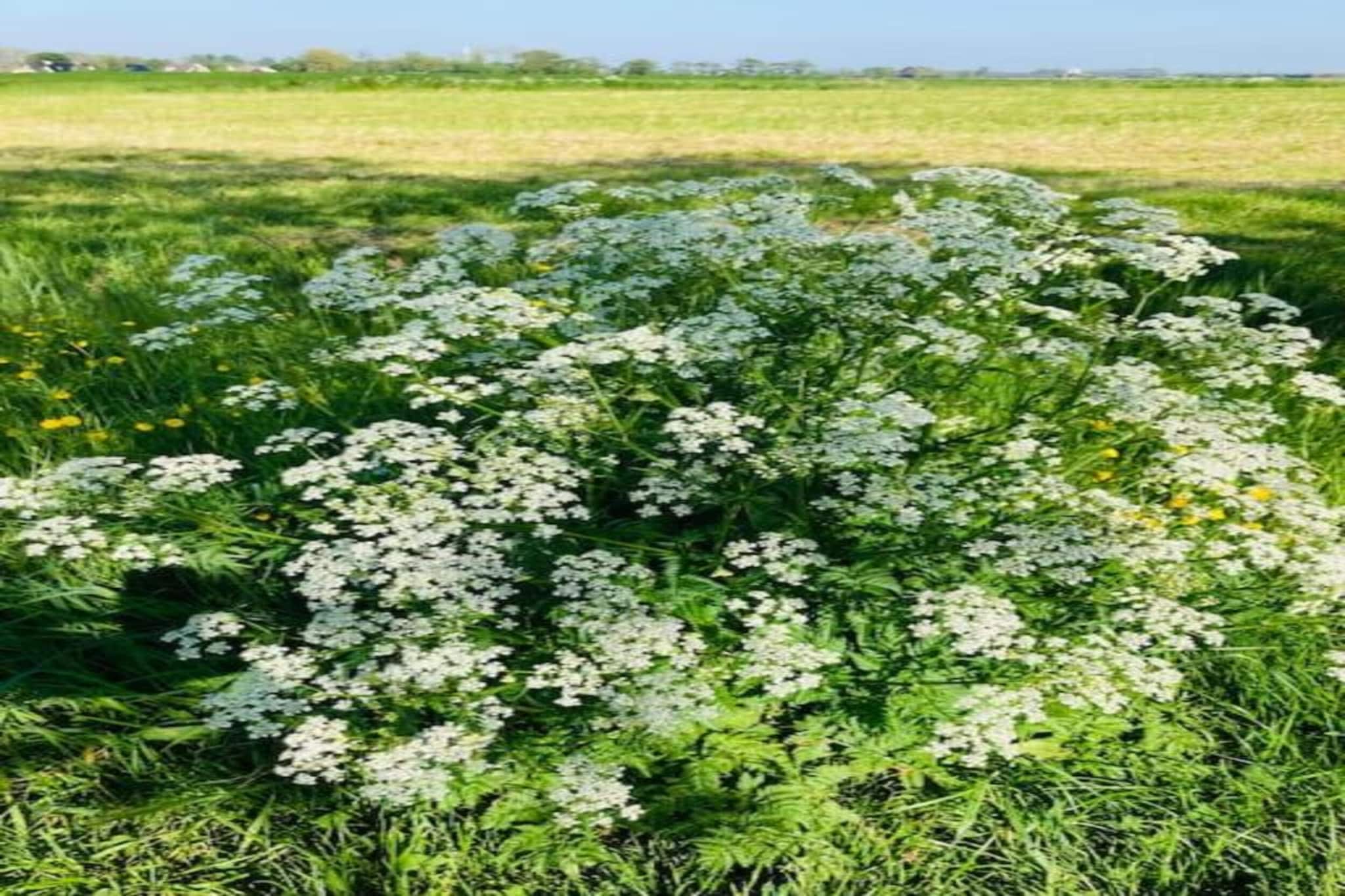 Huisje 'In de Tuin' A en B-Zones d'été à 20 km