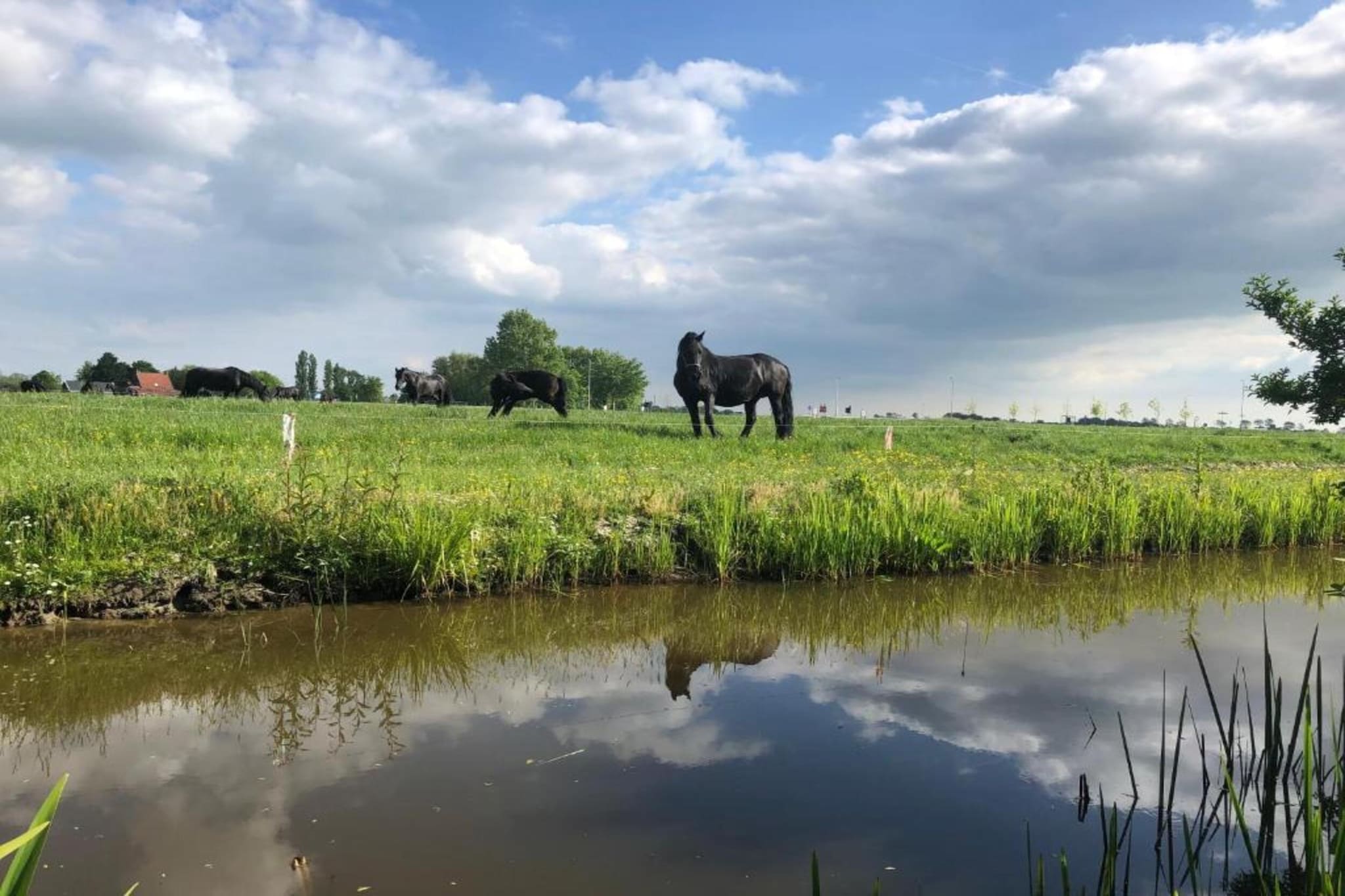 Huisje 'In de Tuin' A en B-Zones d'été à 20 km