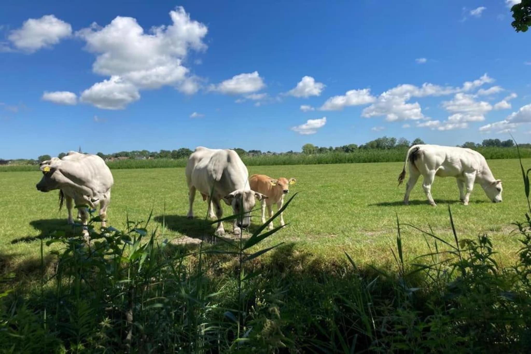 Huisje 'In de Tuin' A en B-Zones d'été à 20 km