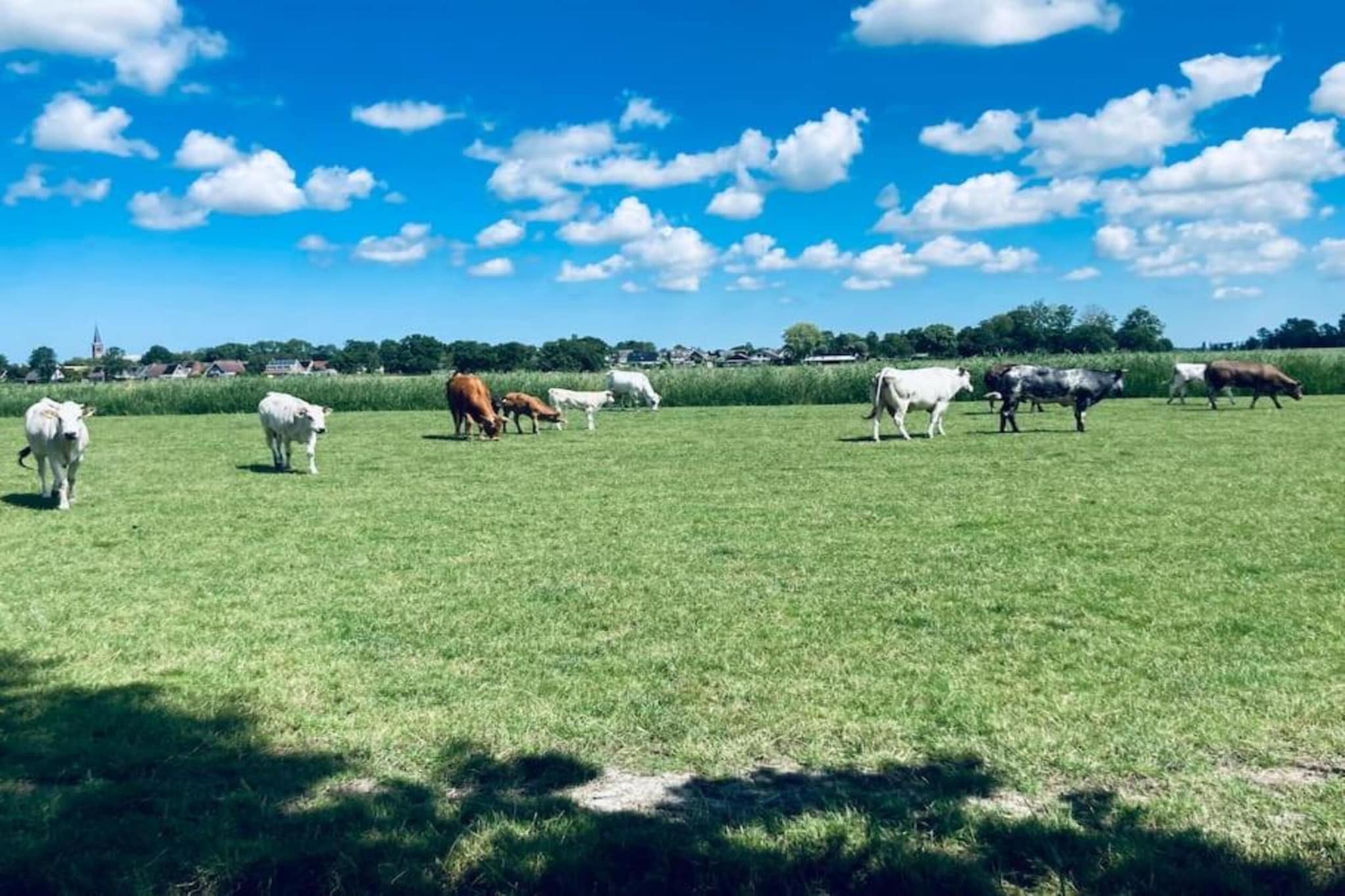Huisje 'In de Tuin' A en B-Zones d'été à 20 km