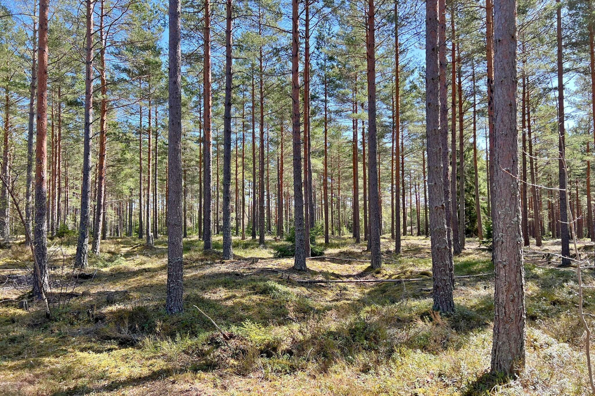 7 Personen Ferienhaus in JÄRNA