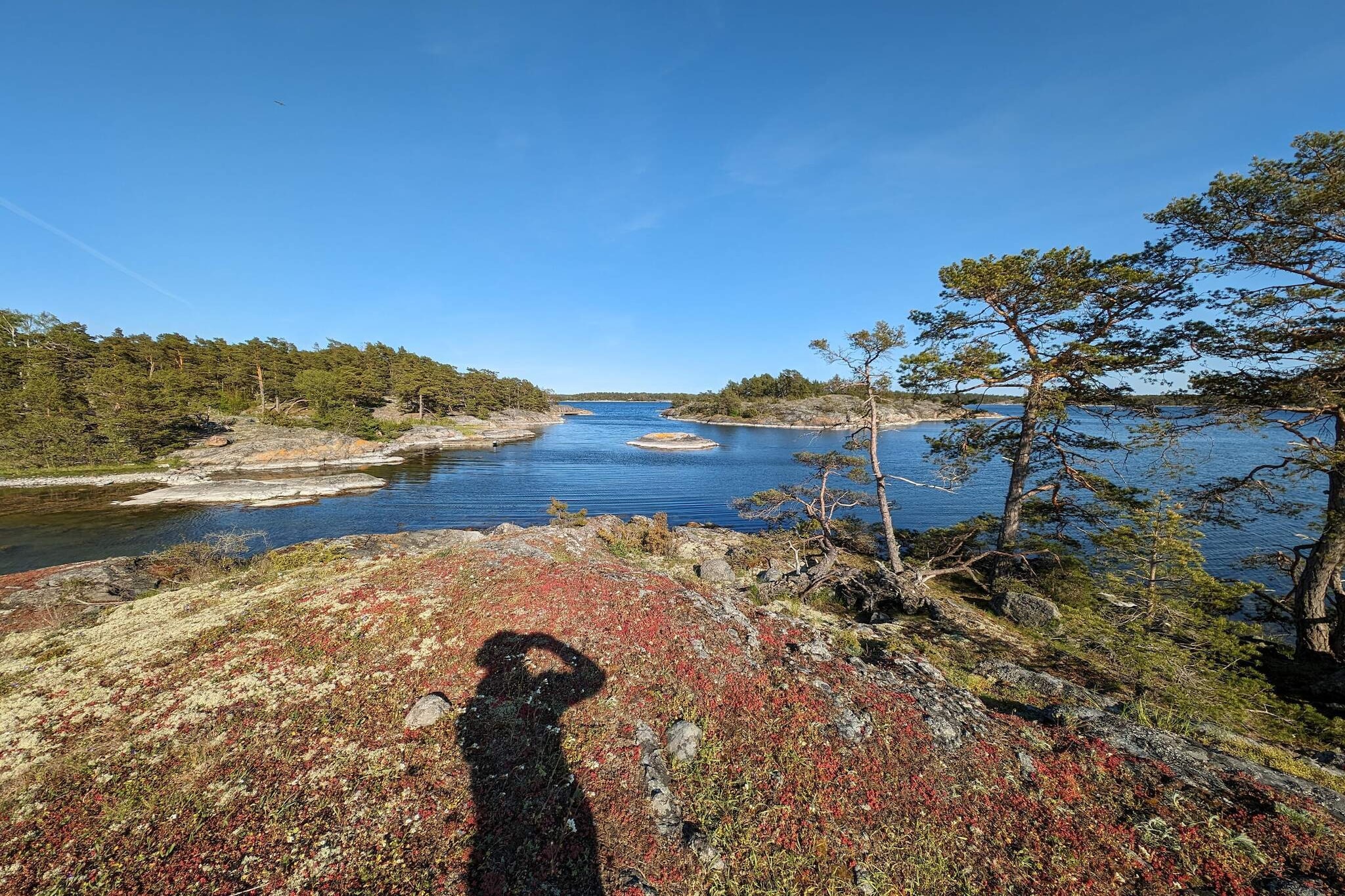 Water View