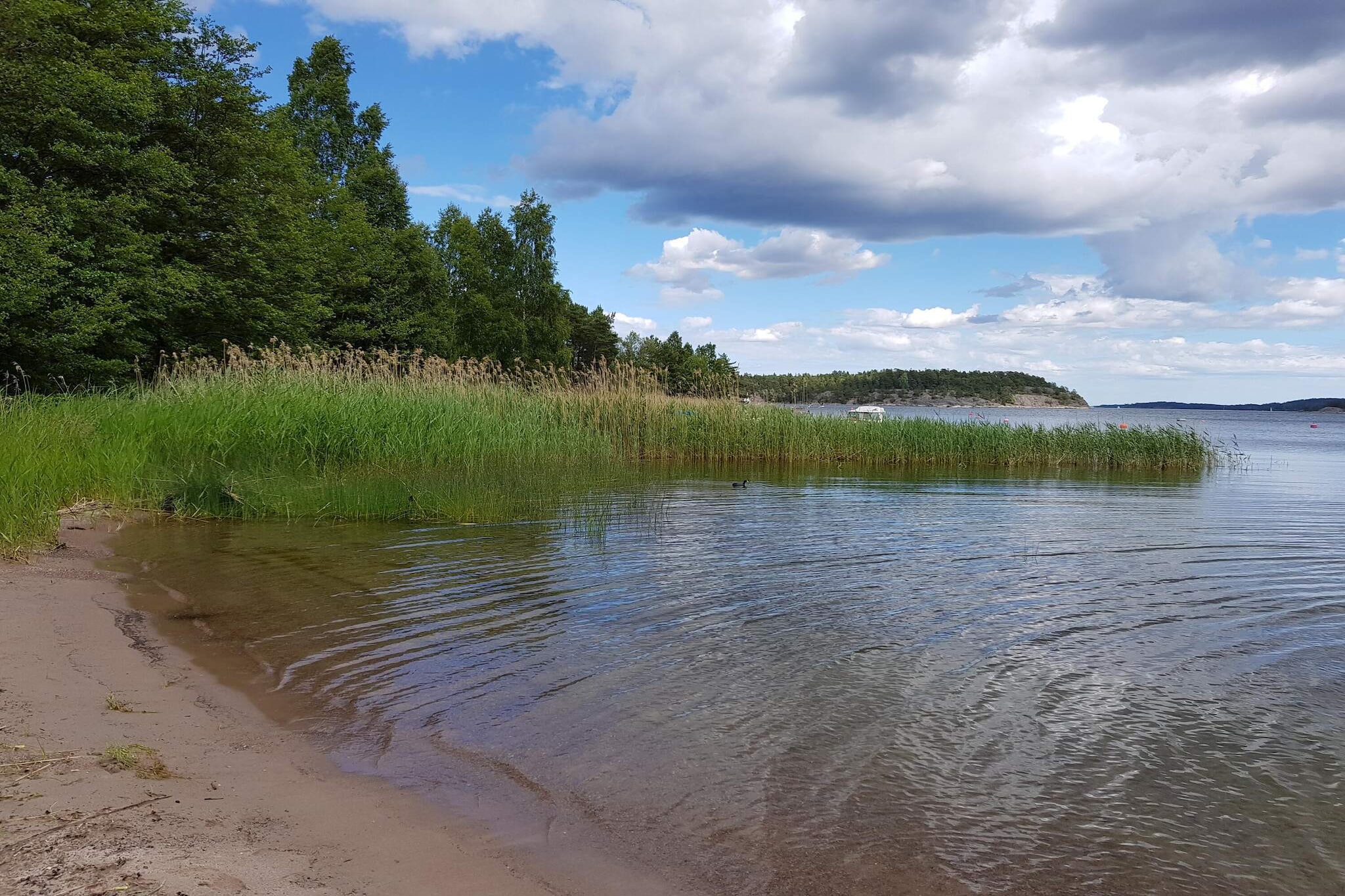 Water View
