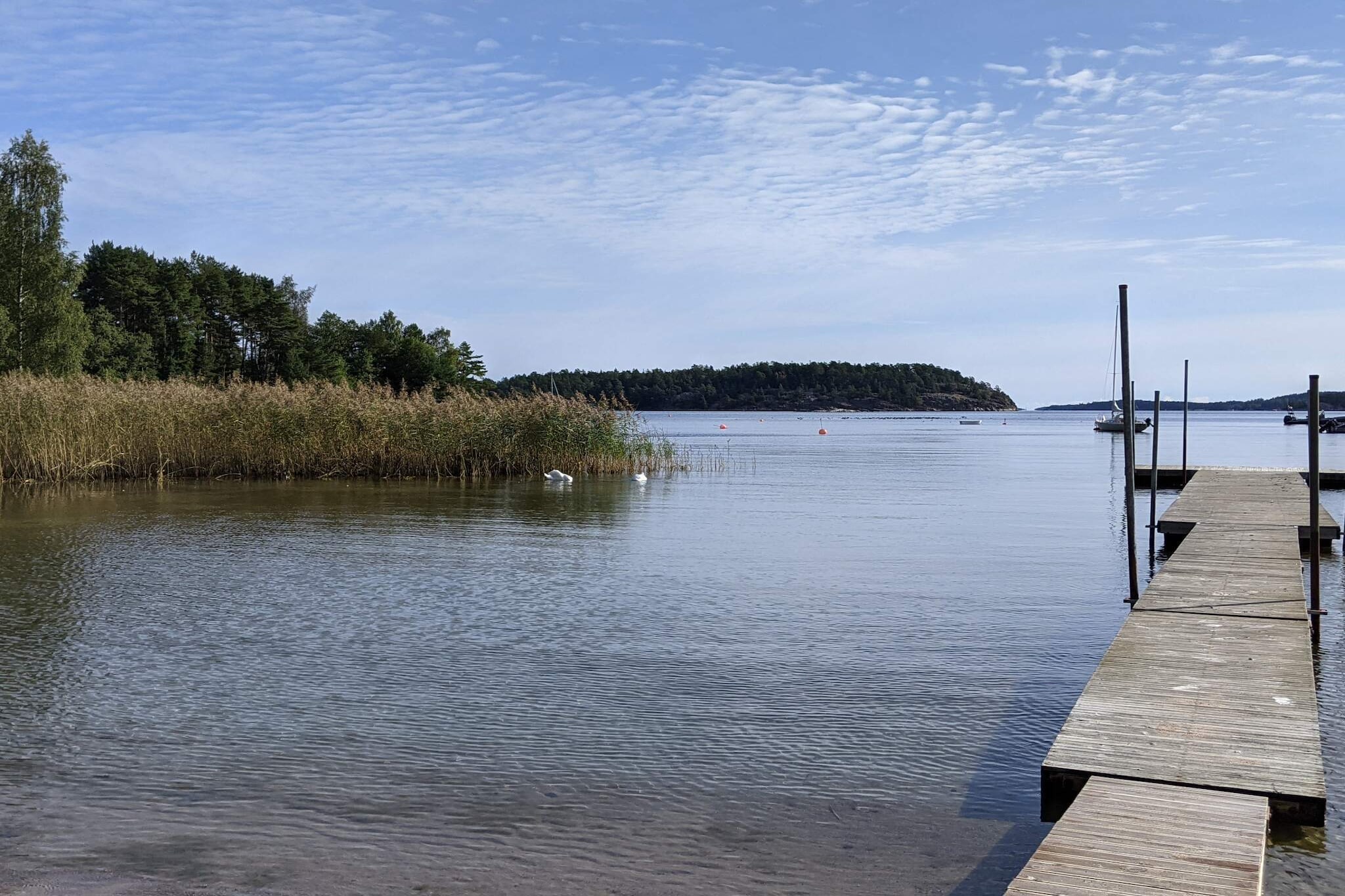 Water View