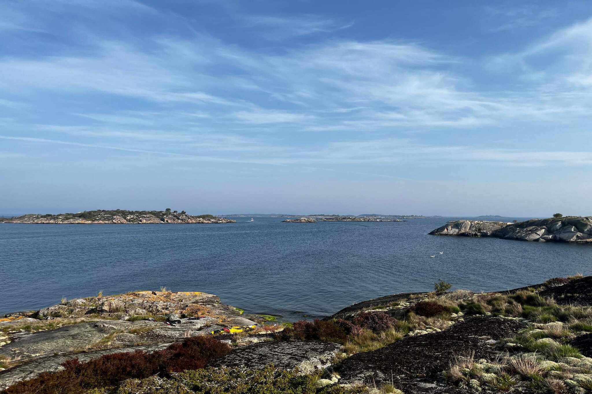 Water View