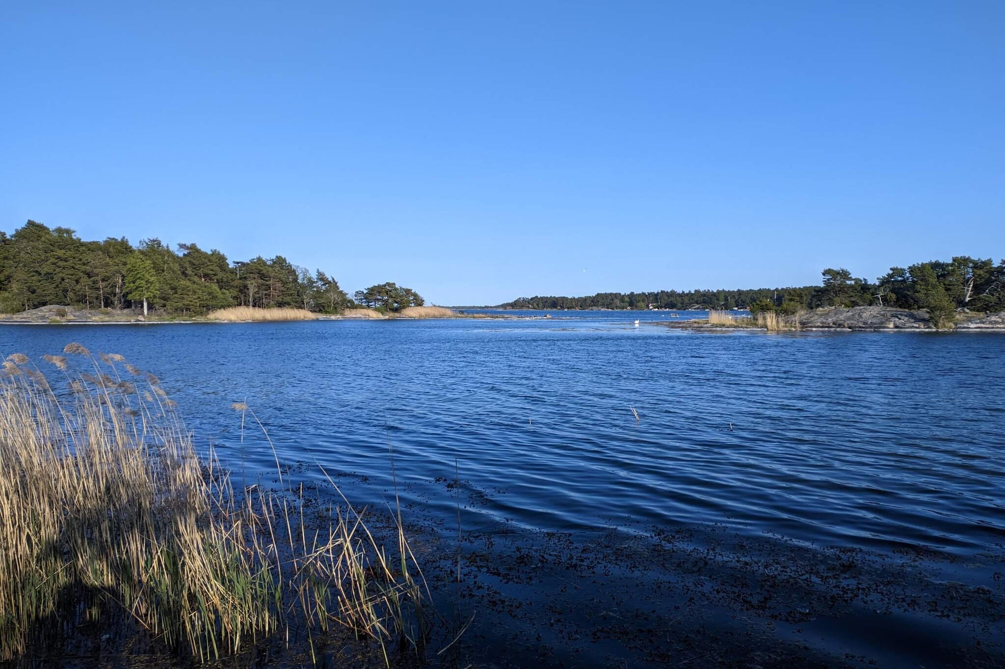 Water View