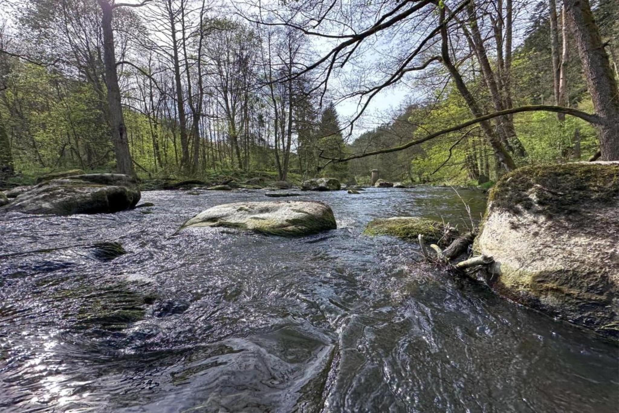 FERIENDORF SEEBLICK - Tiny Chalet am Eixendorfer See-Gebieden zomer 20km